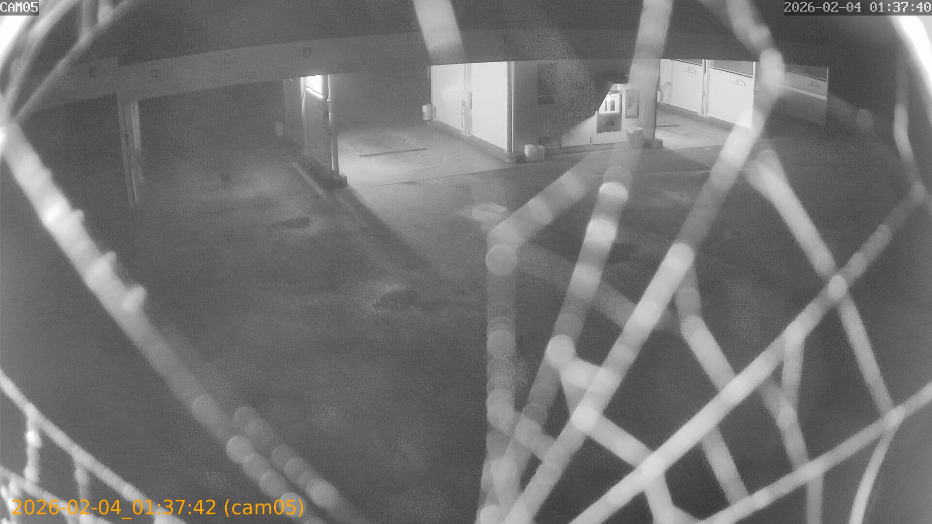 thumbnail_20260204013741