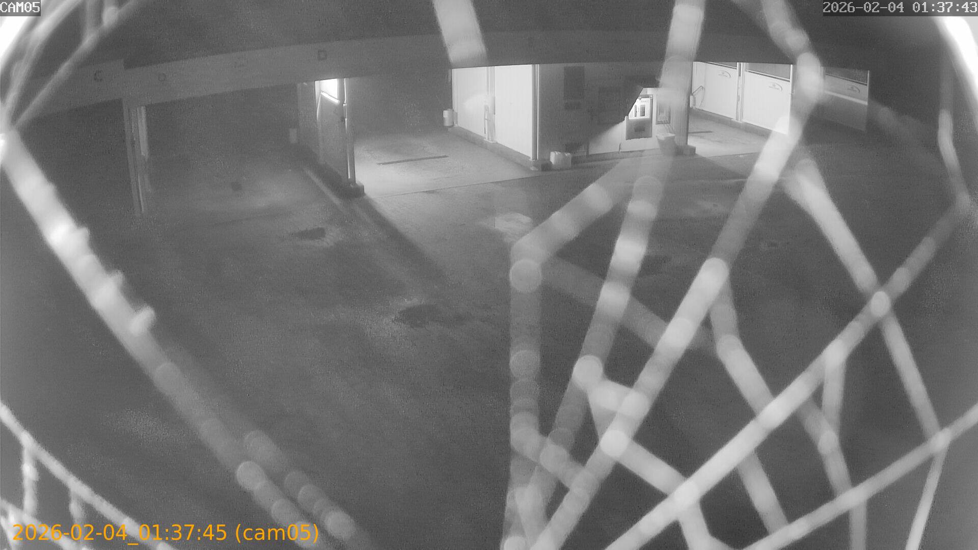 thumbnail_20260204013745