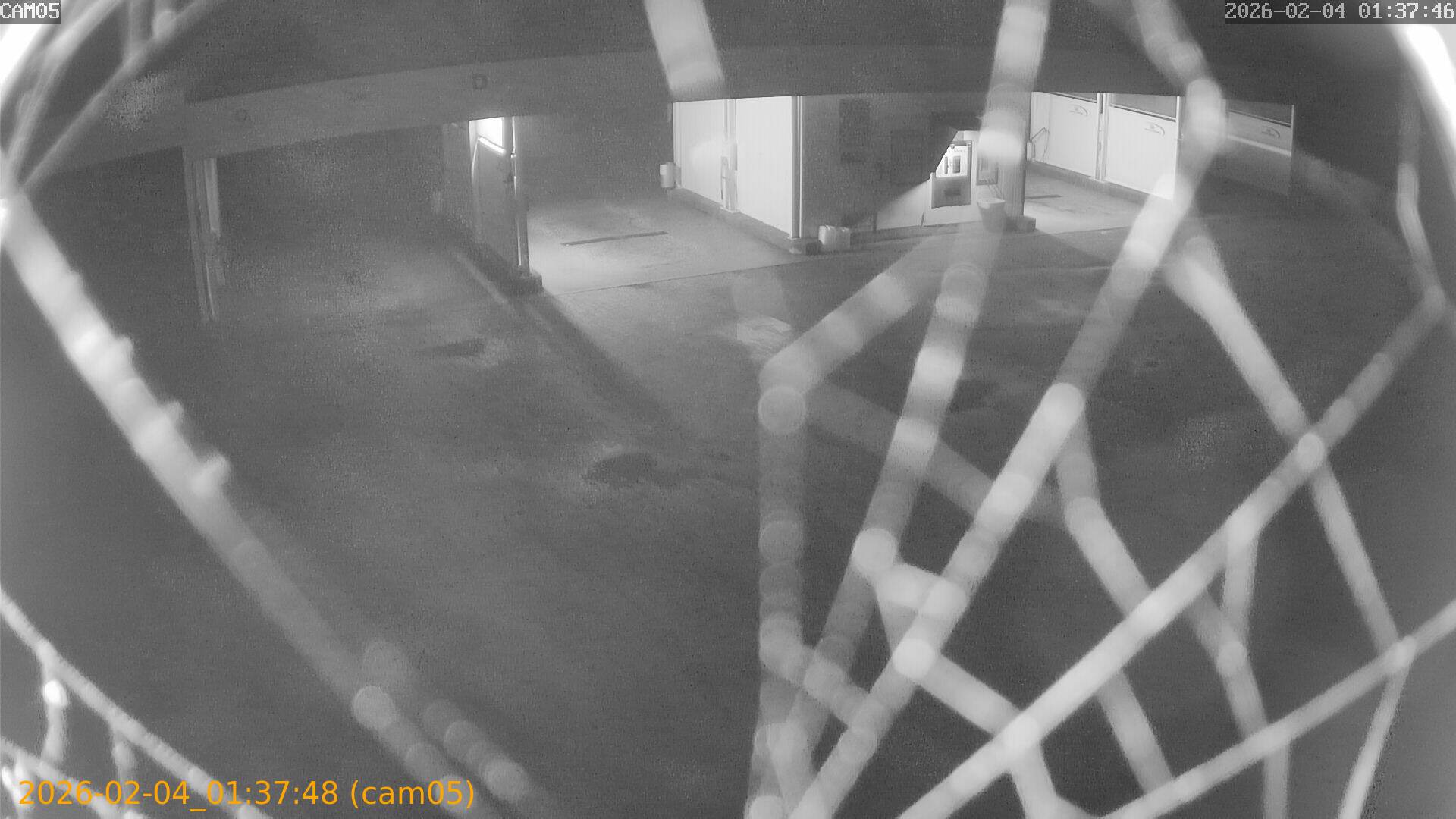 thumbnail_20260204013748