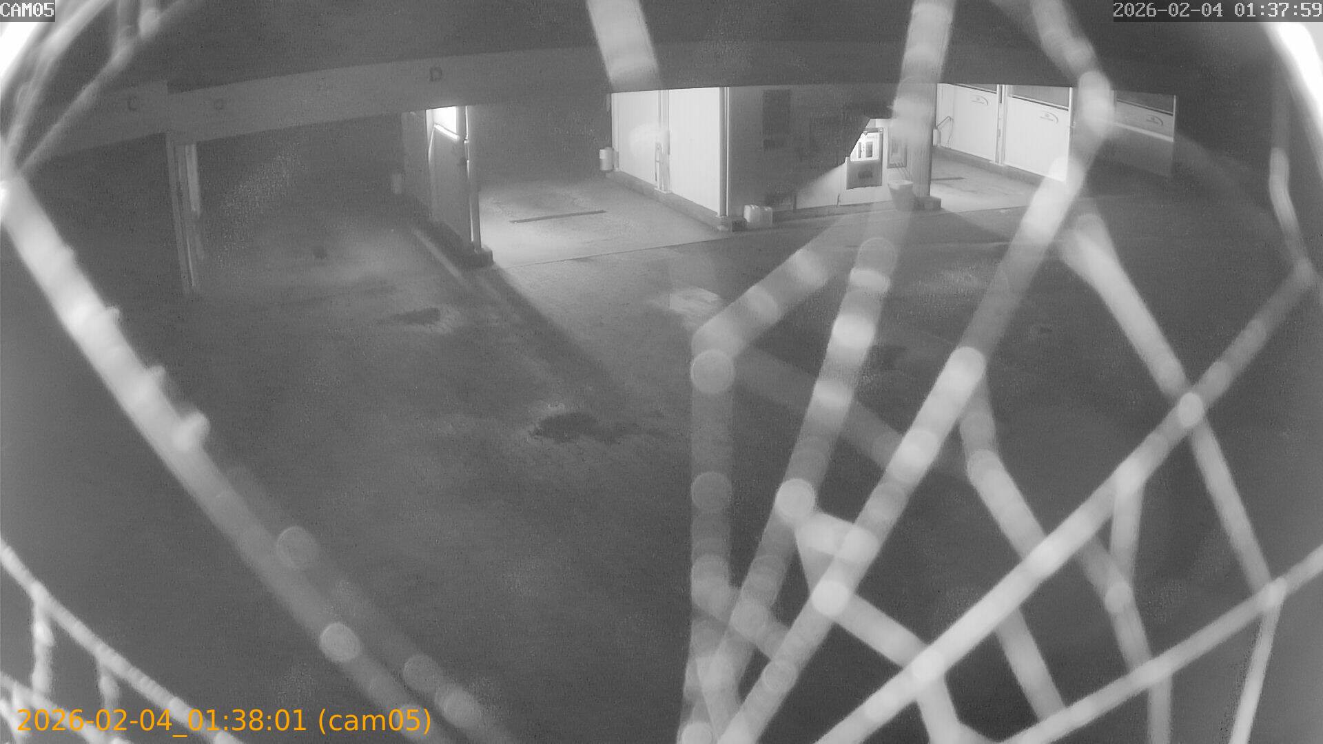 thumbnail_20260204013801