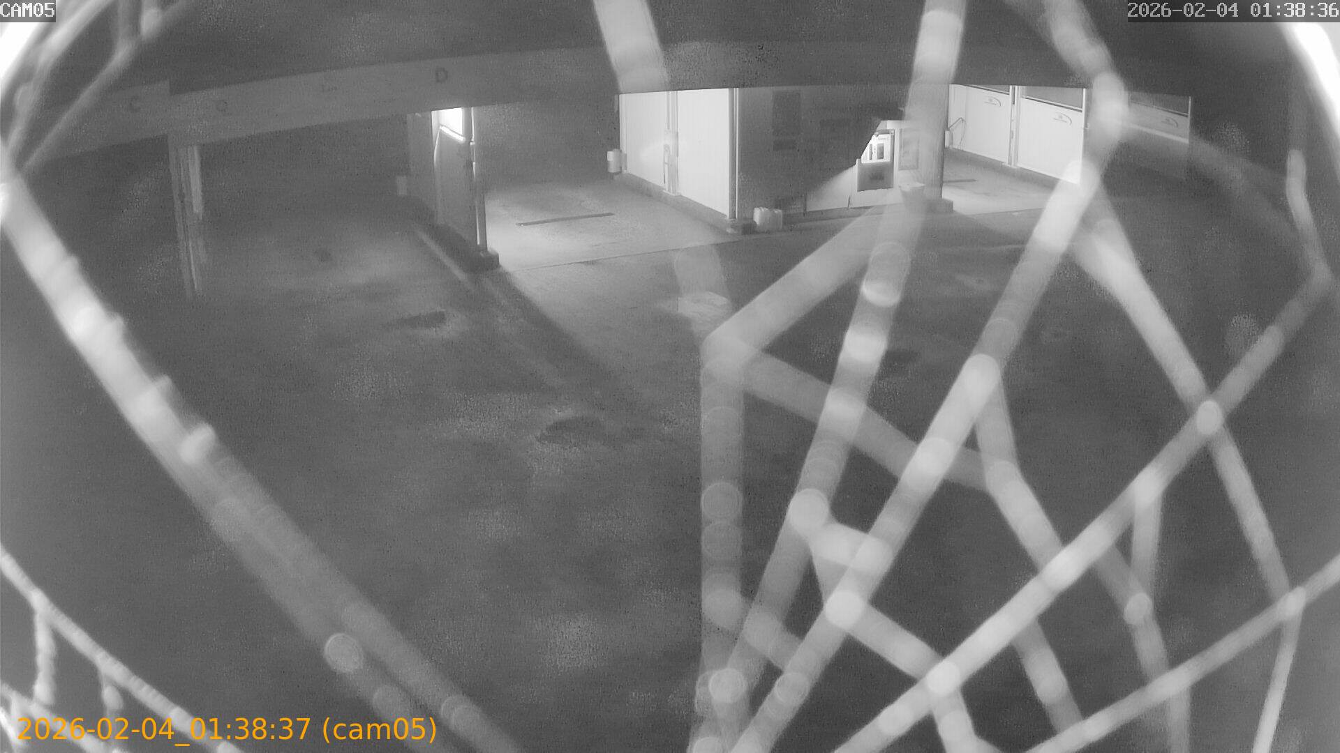 thumbnail_20260204013837