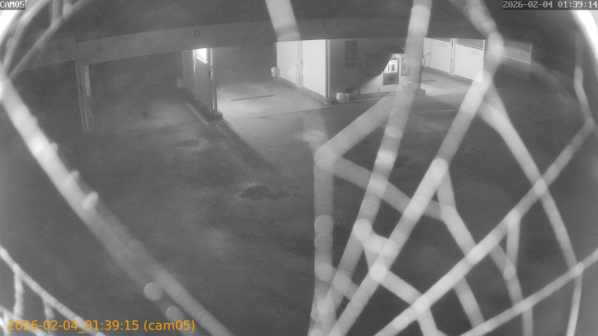 thumbnail_20260204013915