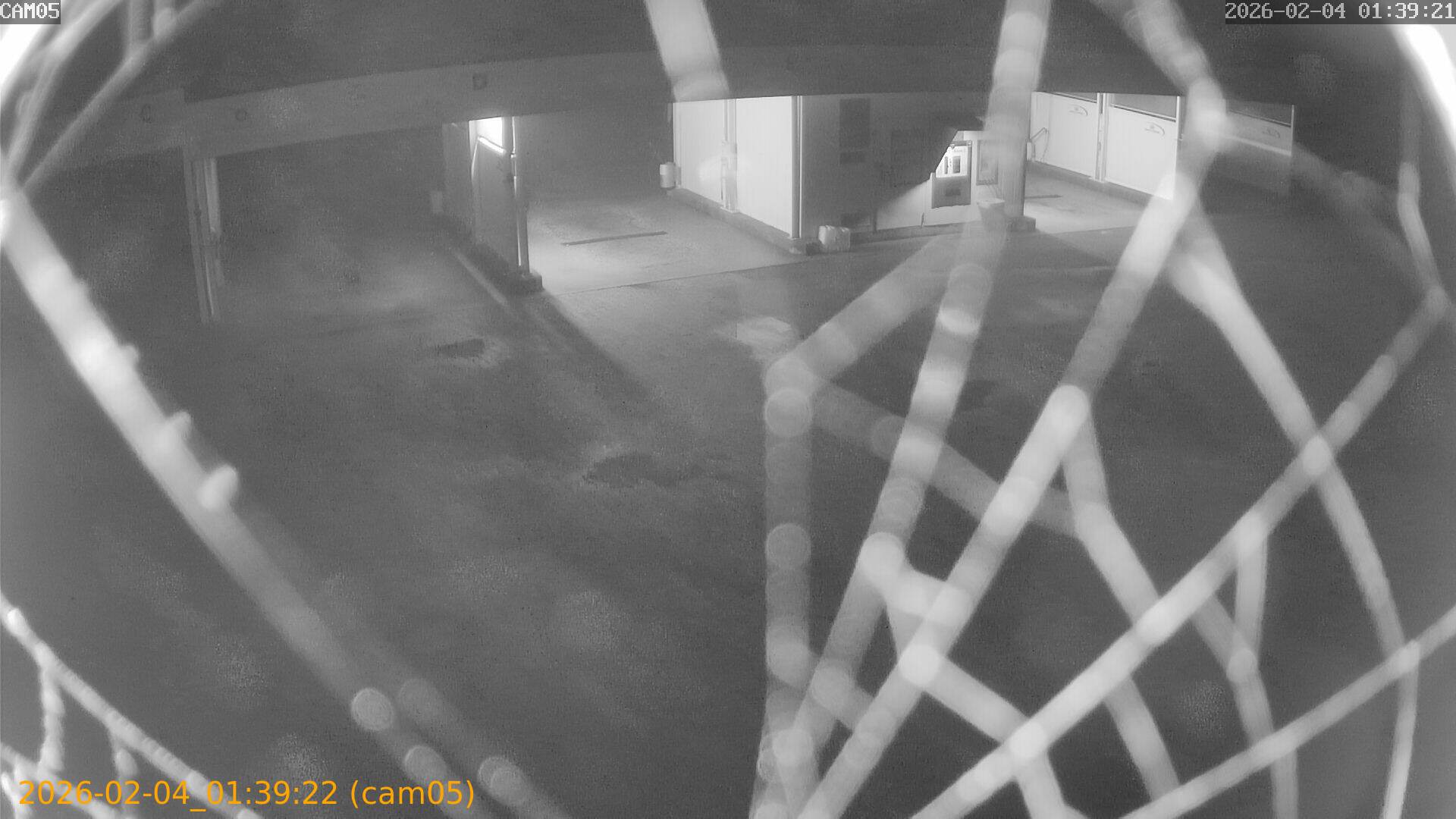 thumbnail_20260204013922