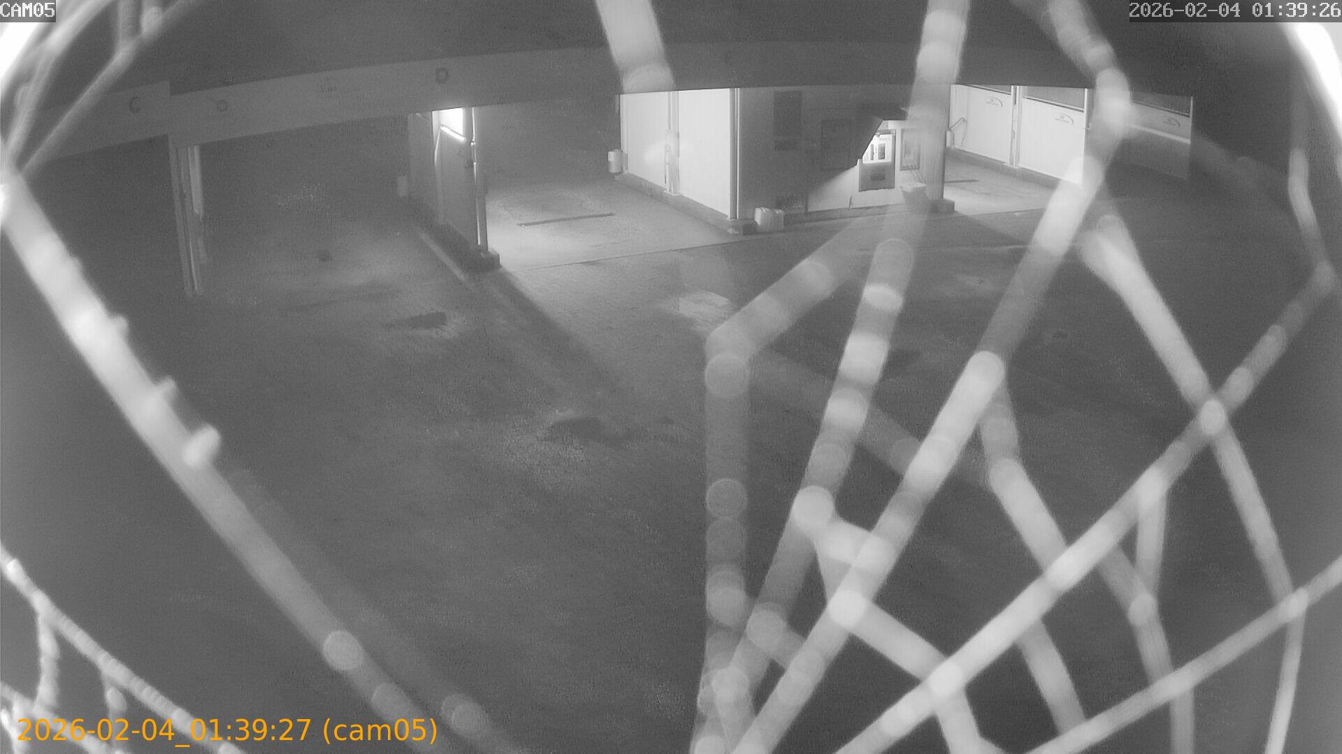 thumbnail_20260204013927