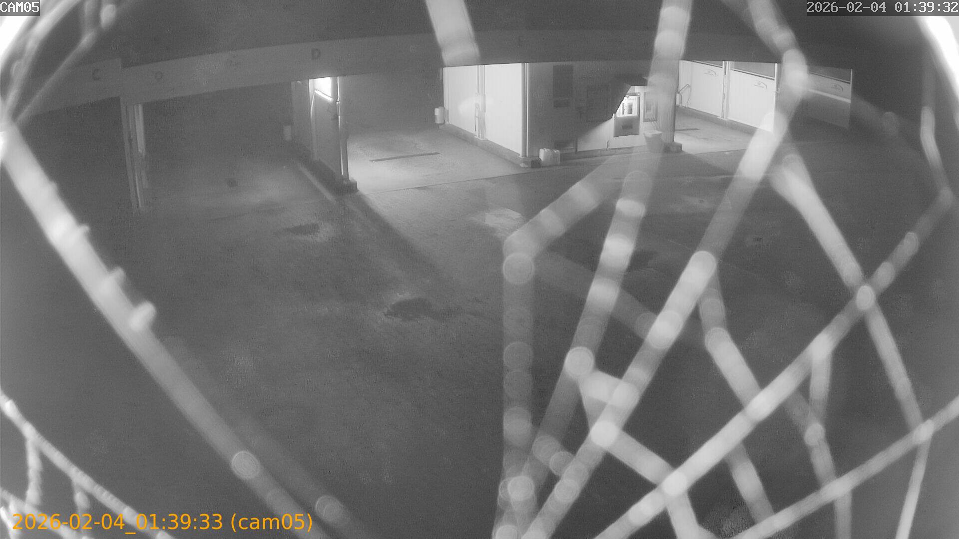 thumbnail_20260204013933