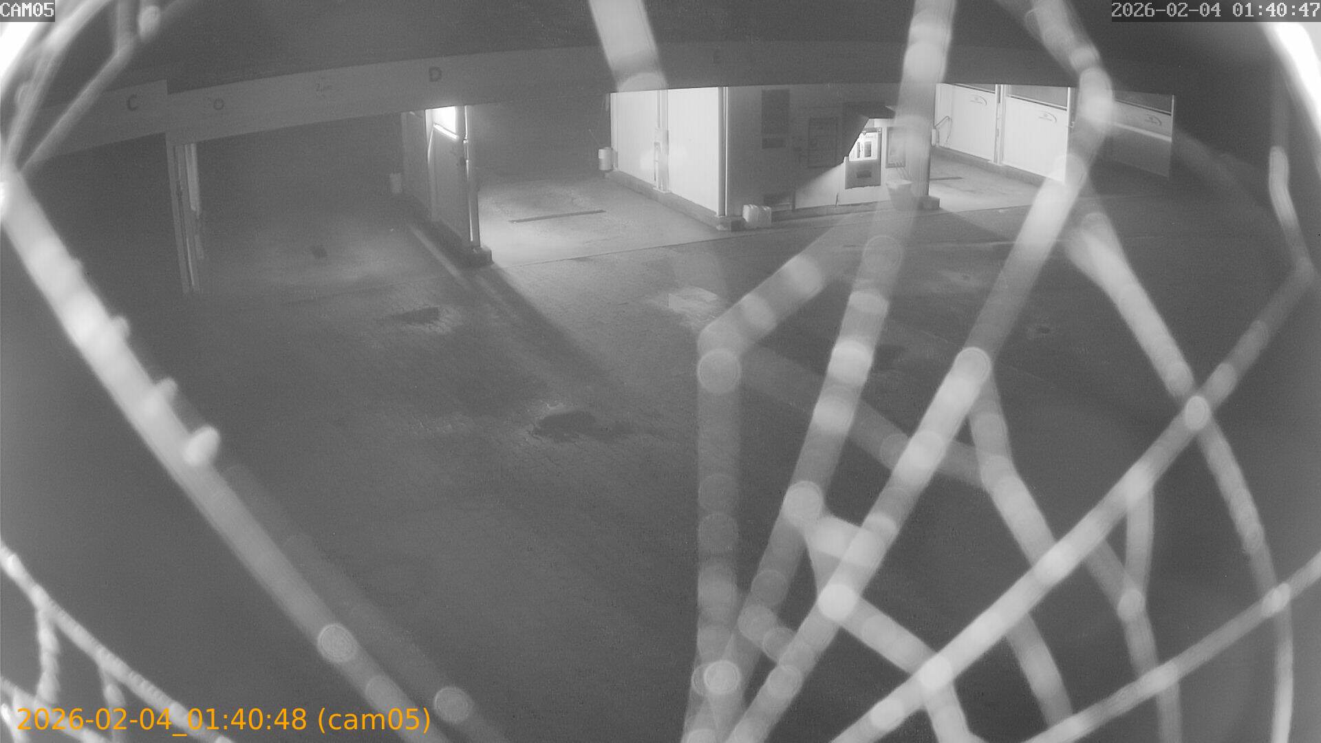 thumbnail_20260204014048