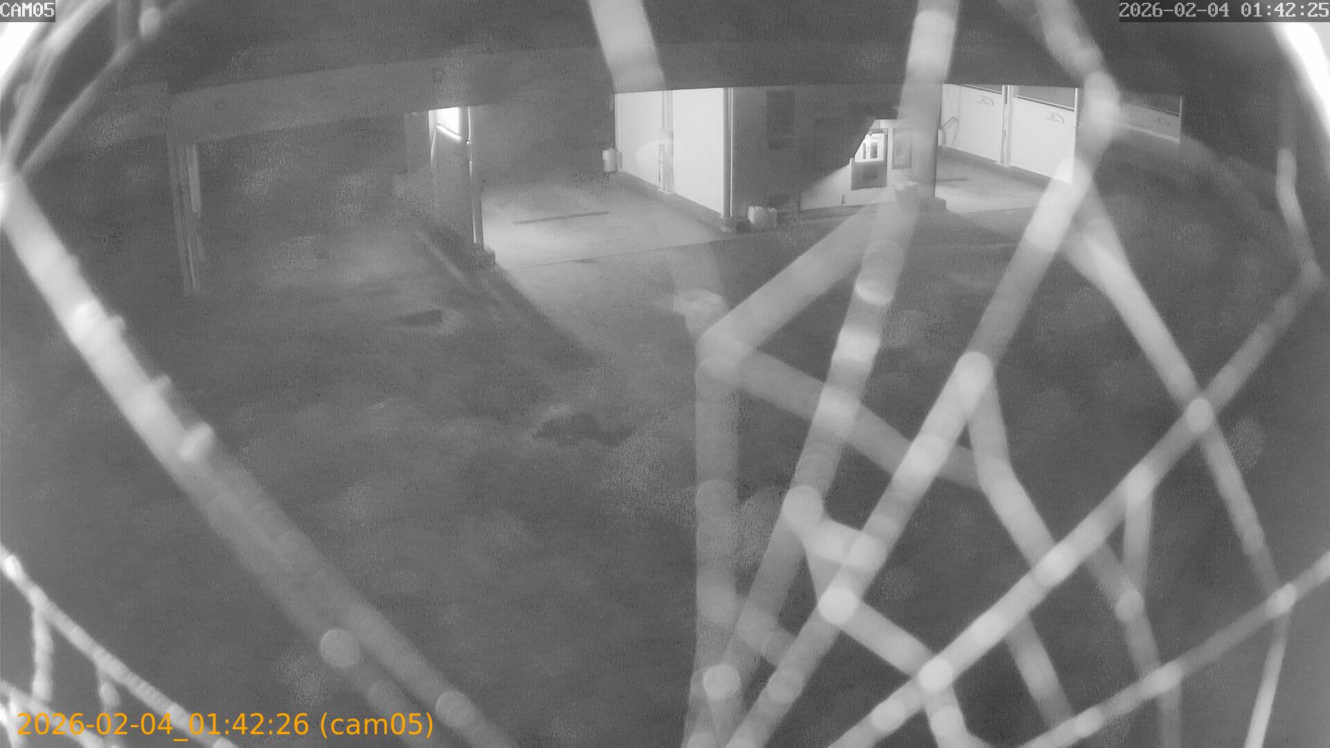 thumbnail_20260204014226