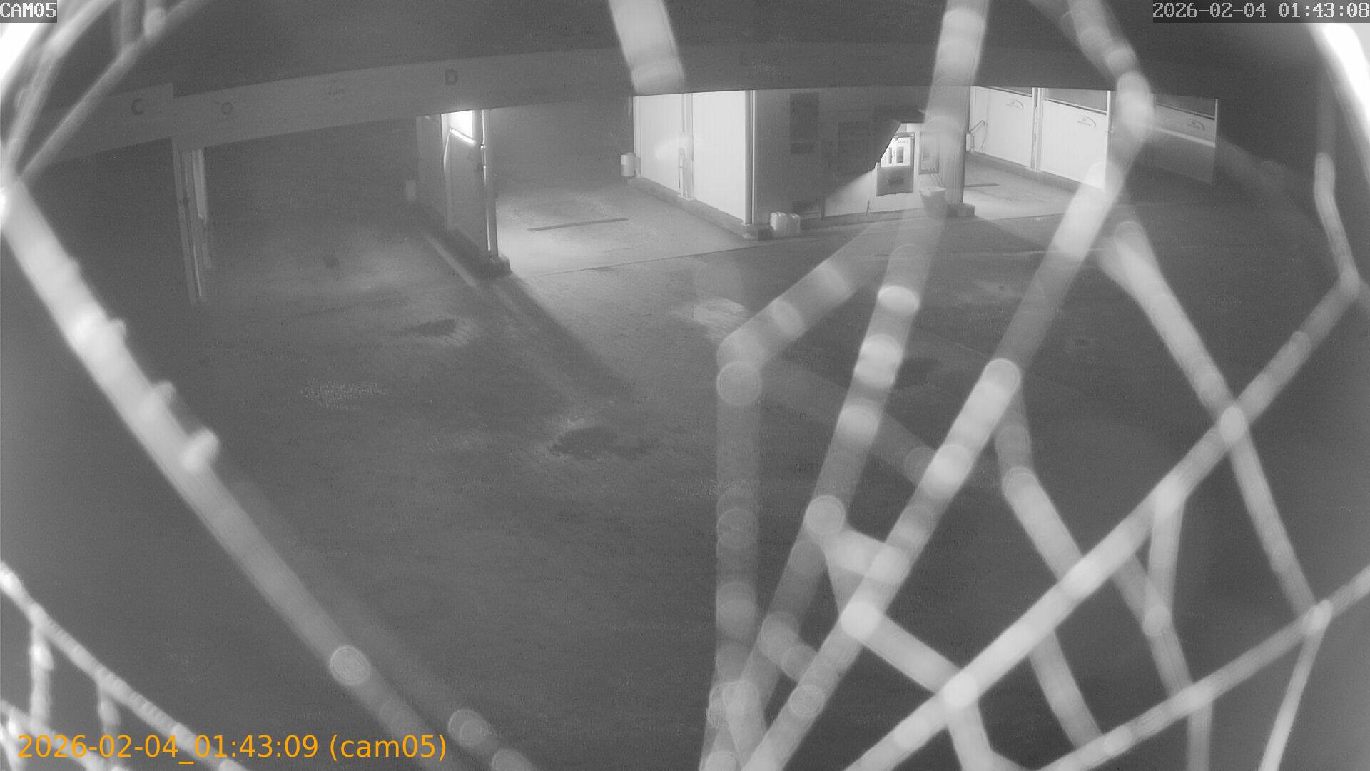 thumbnail_20260204014309