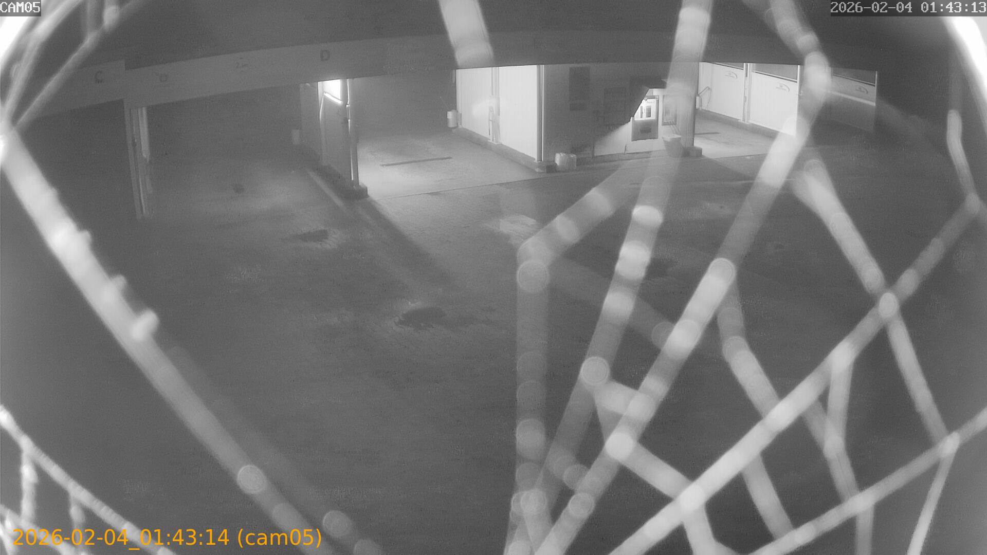 thumbnail_20260204014314