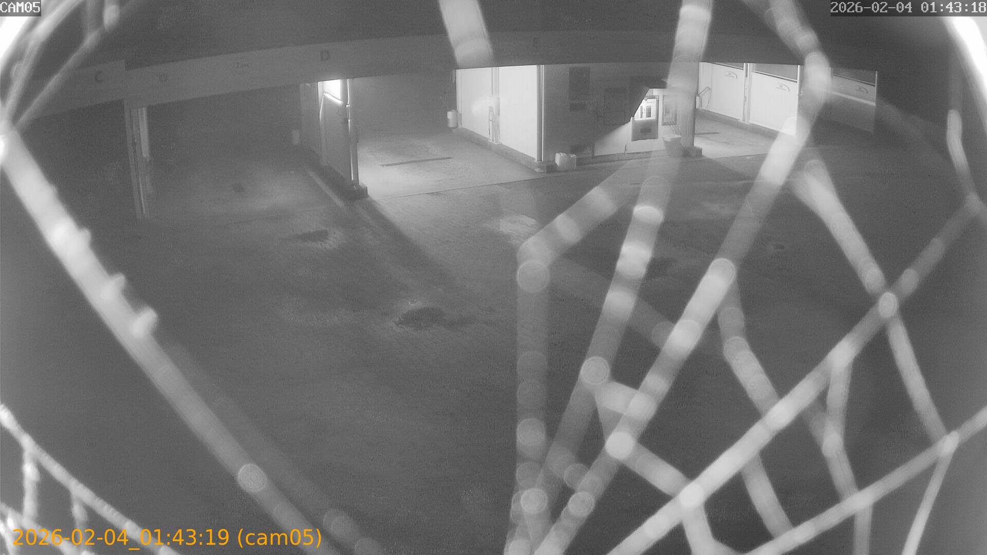 thumbnail_20260204014319