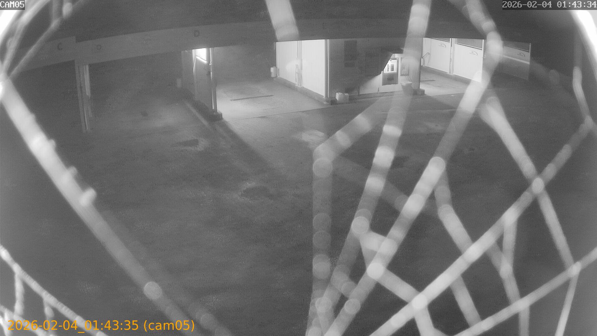 thumbnail_20260204014335