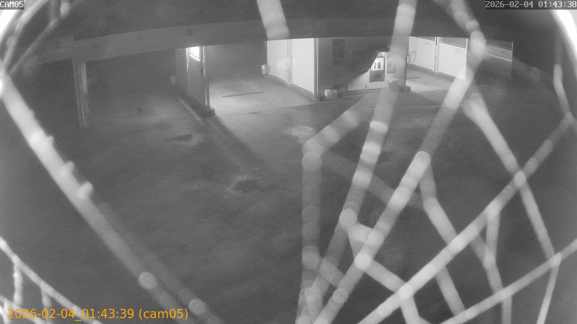 thumbnail_20260204014339