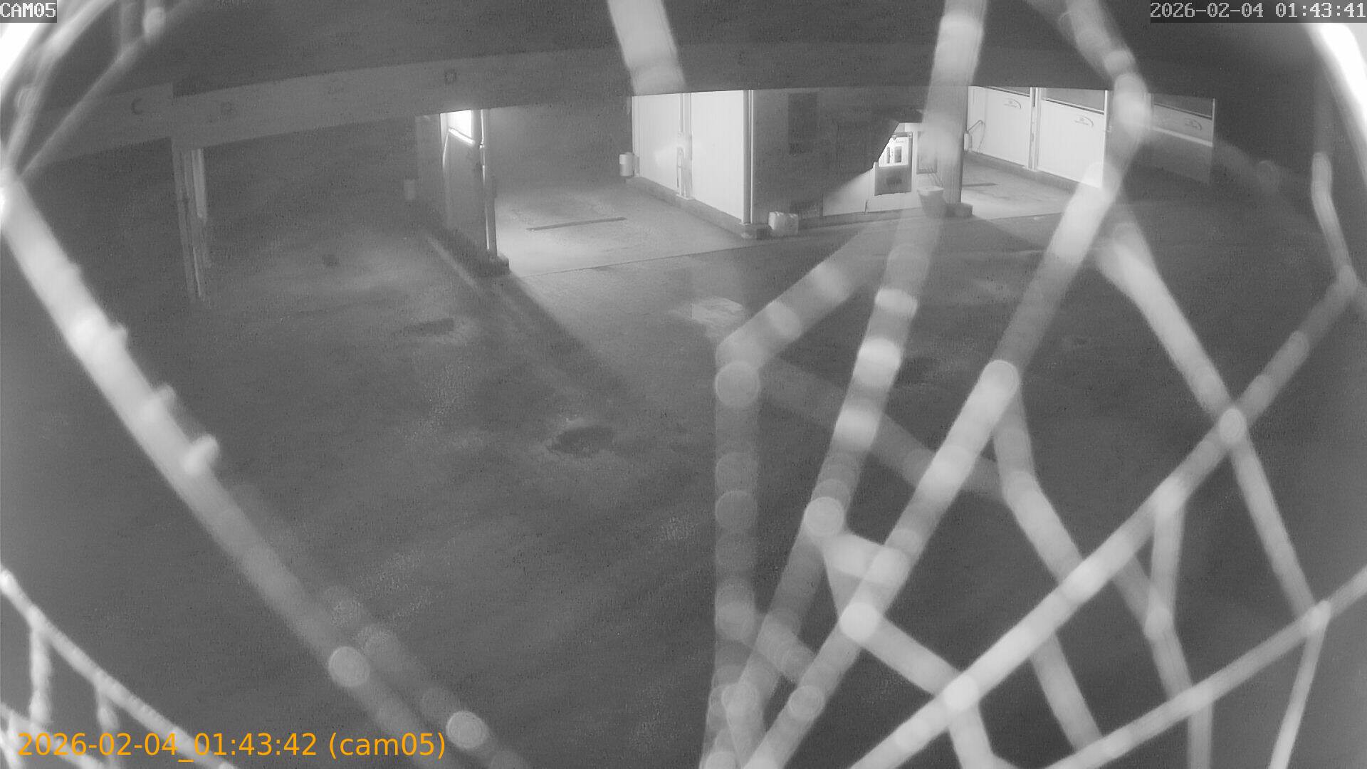 thumbnail_20260204014342