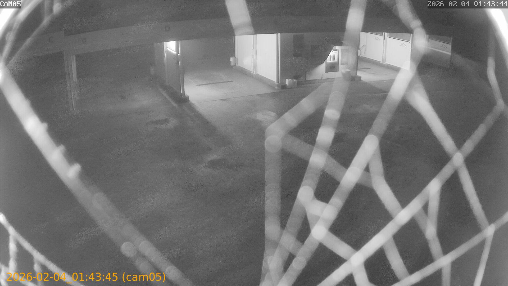 thumbnail_20260204014345