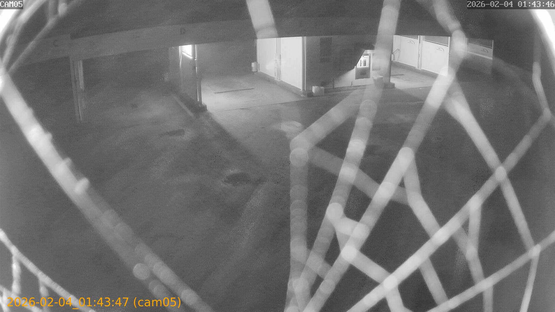 thumbnail_20260204014347