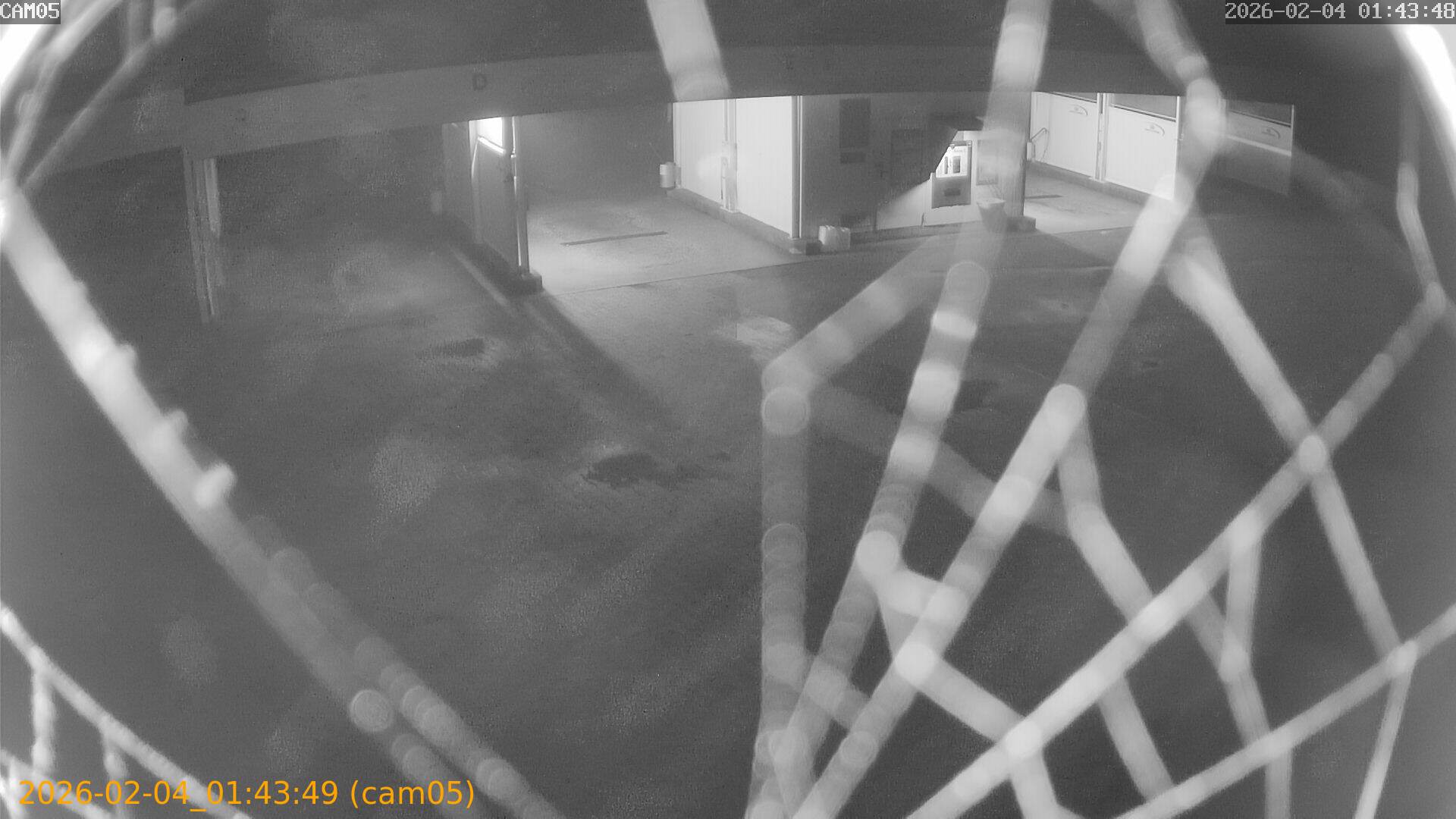 thumbnail_20260204014349