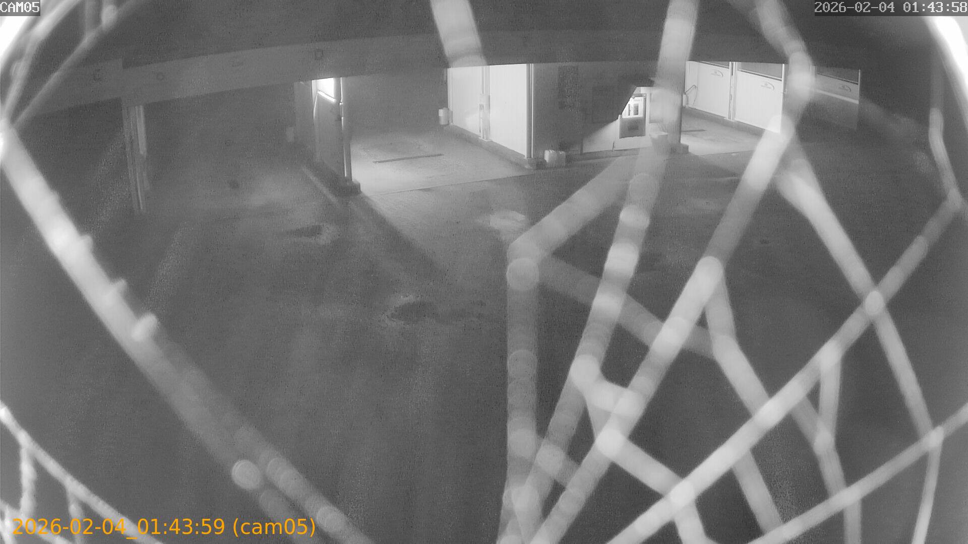 thumbnail_20260204014359