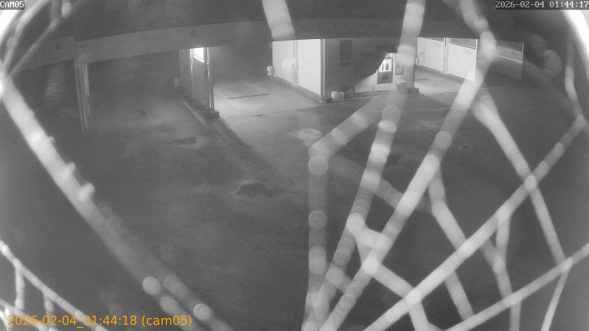 thumbnail_20260204014418