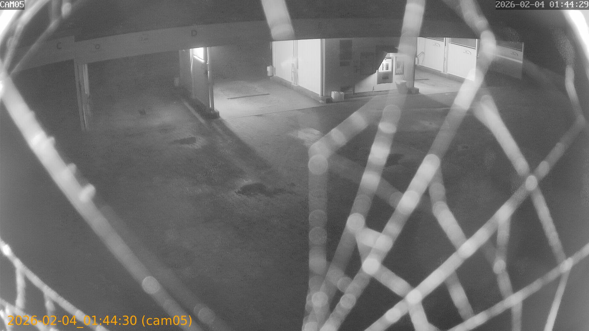 thumbnail_20260204014430