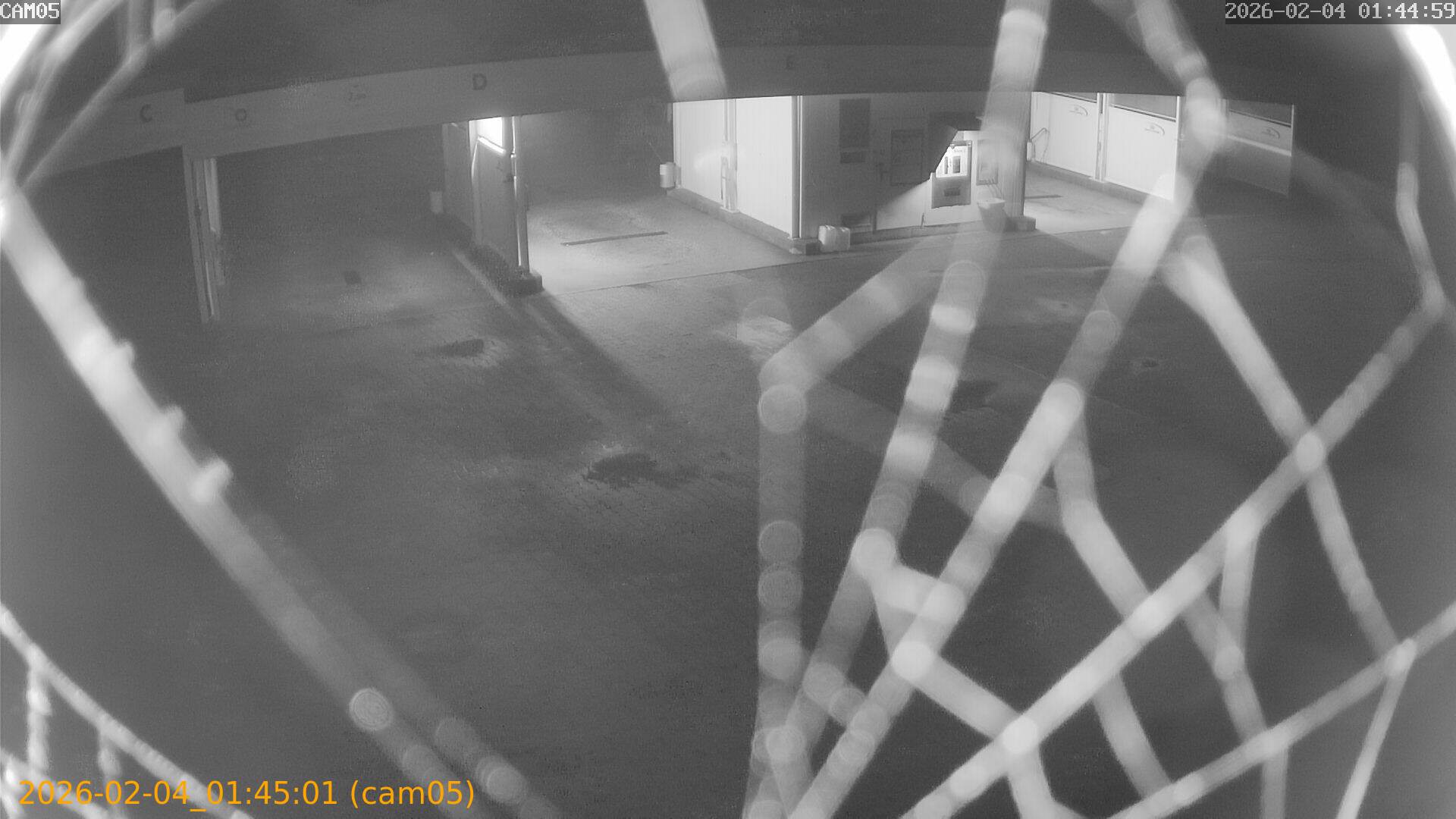 thumbnail_20260204014501