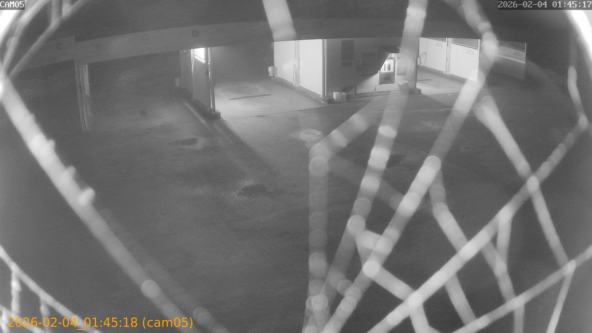 thumbnail_20260204014518