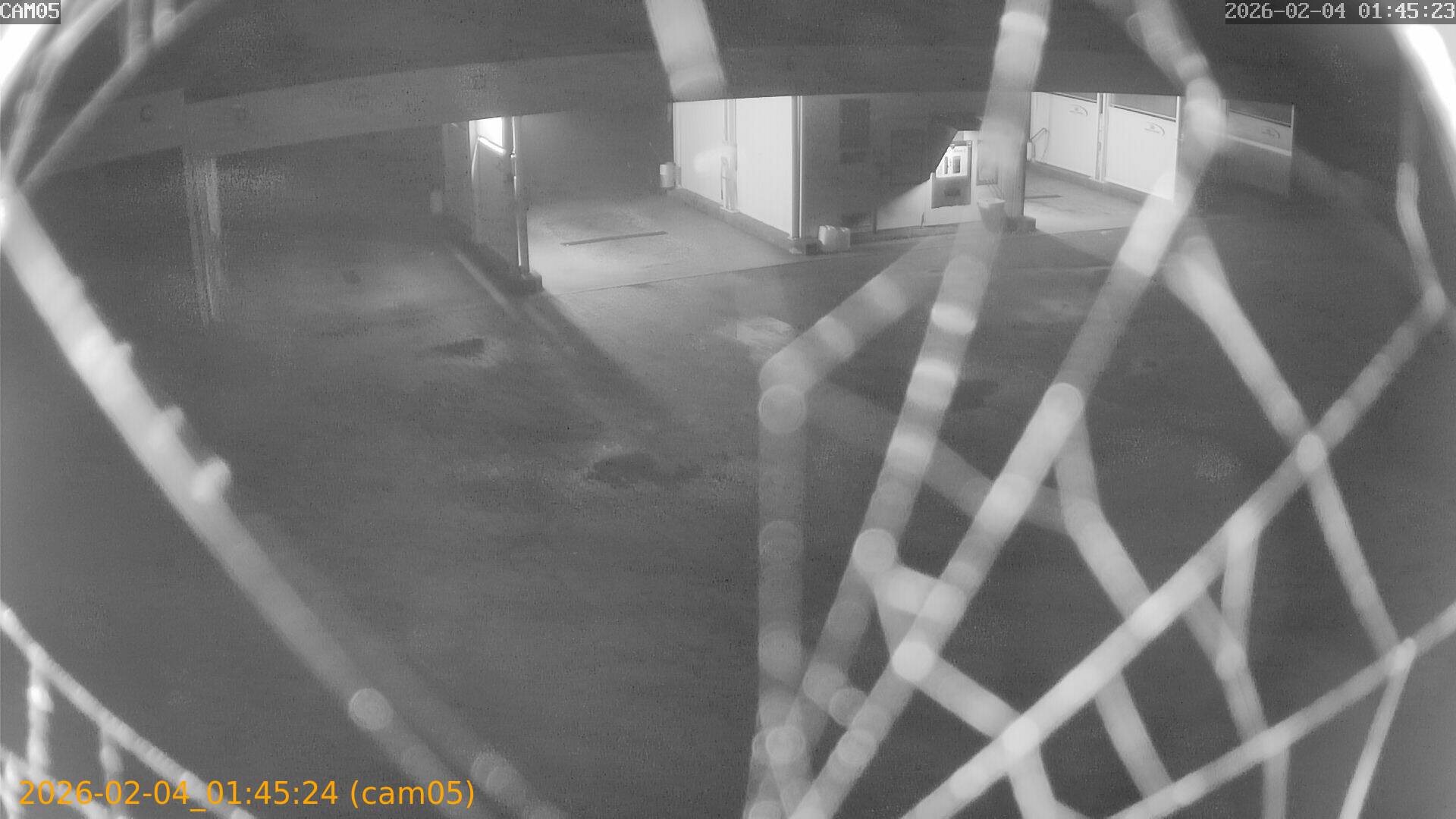 thumbnail_20260204014524