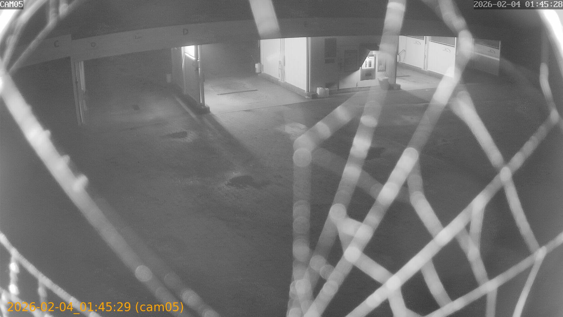 thumbnail_20260204014529