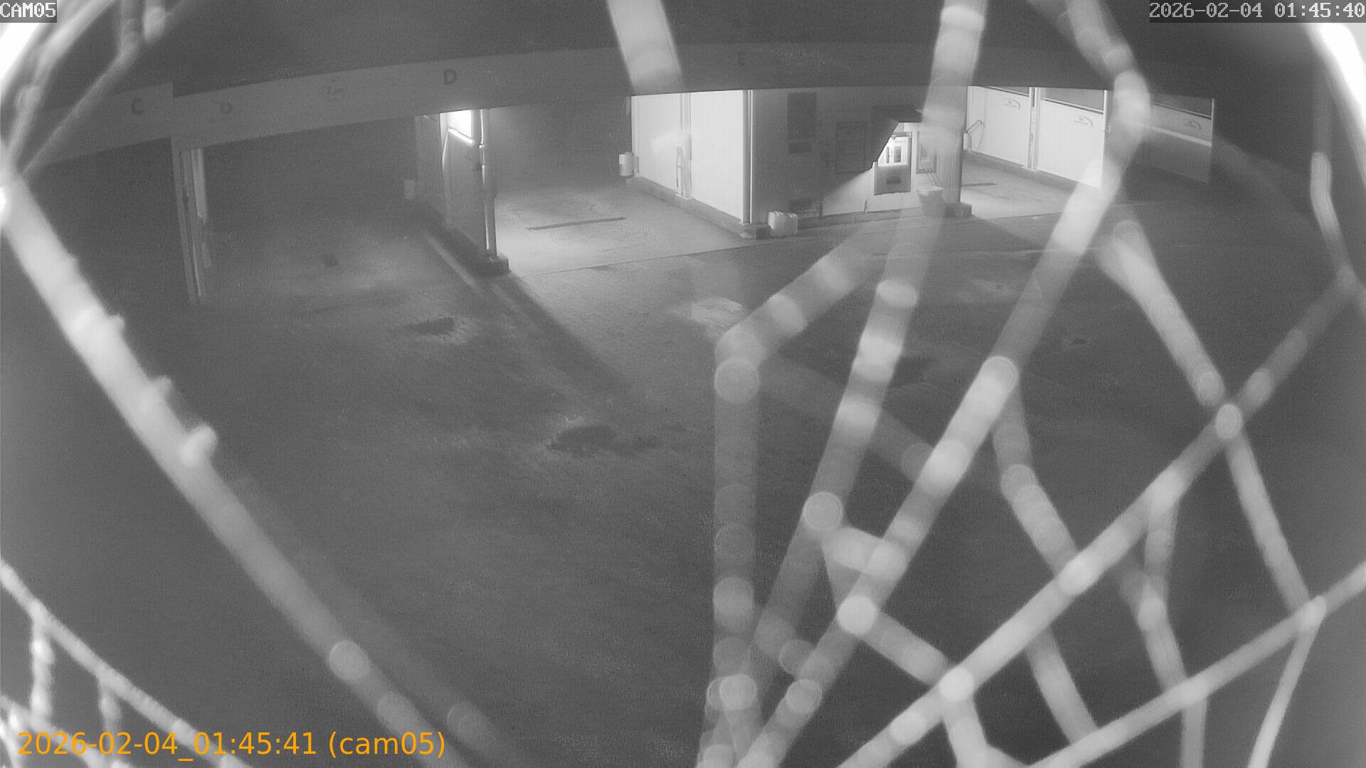 thumbnail_20260204014541