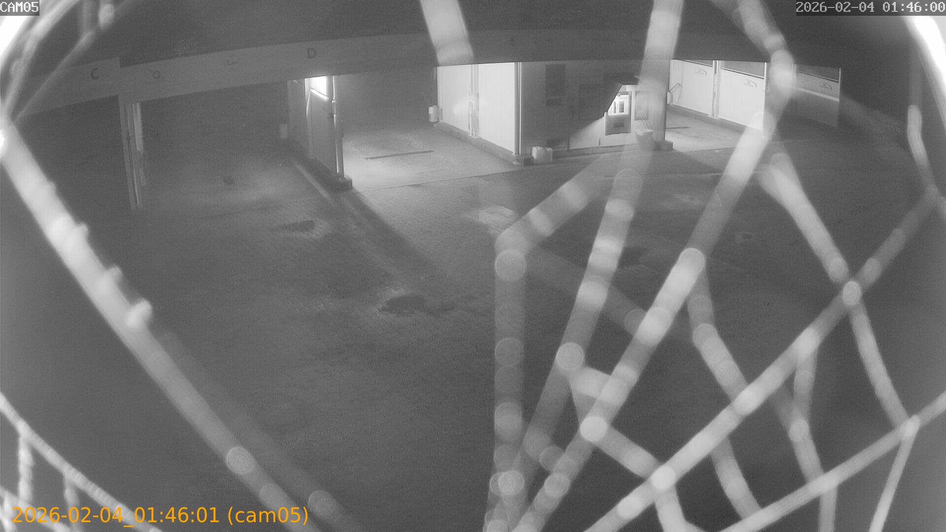 thumbnail_20260204014601