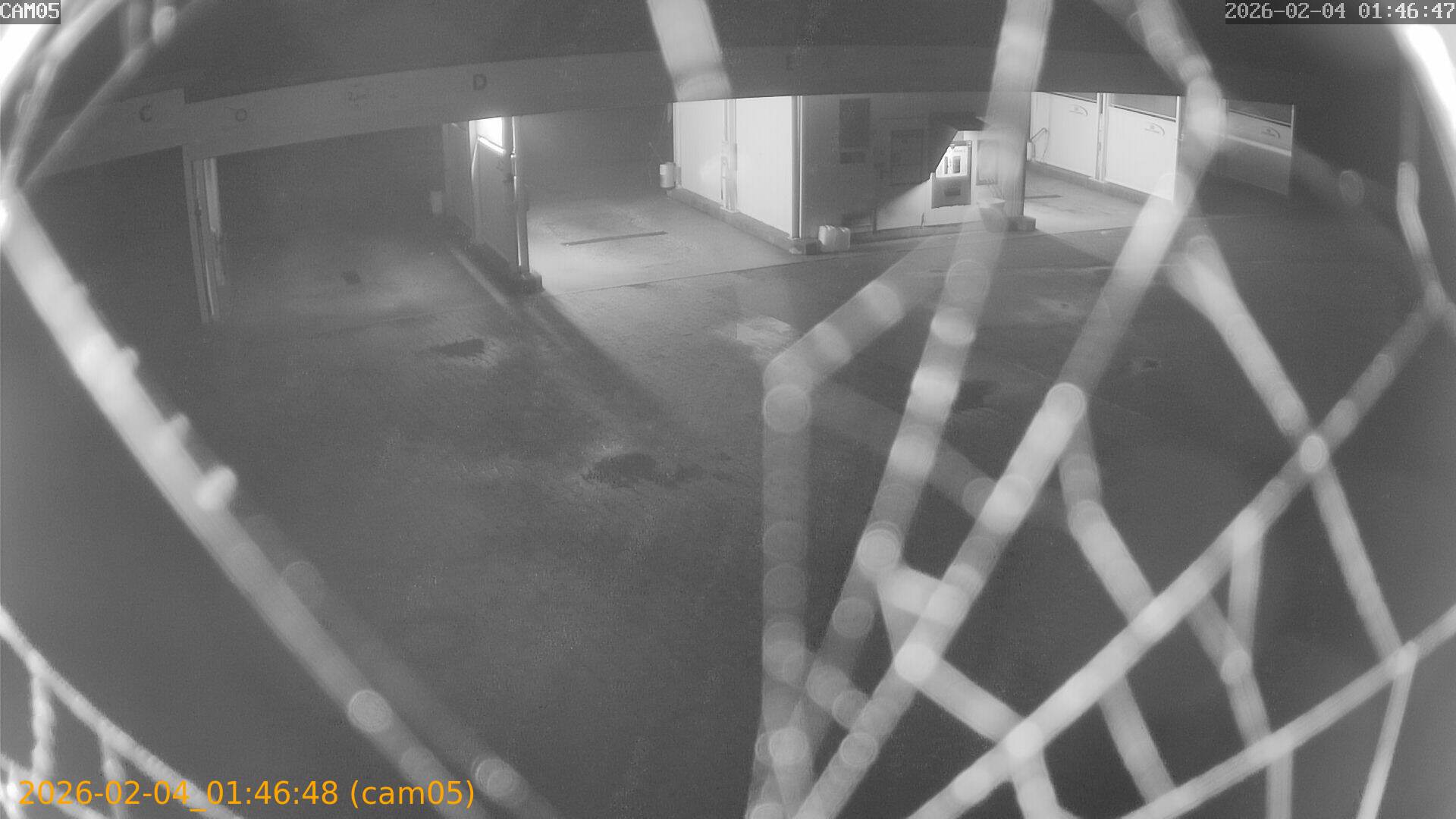 thumbnail_20260204014648