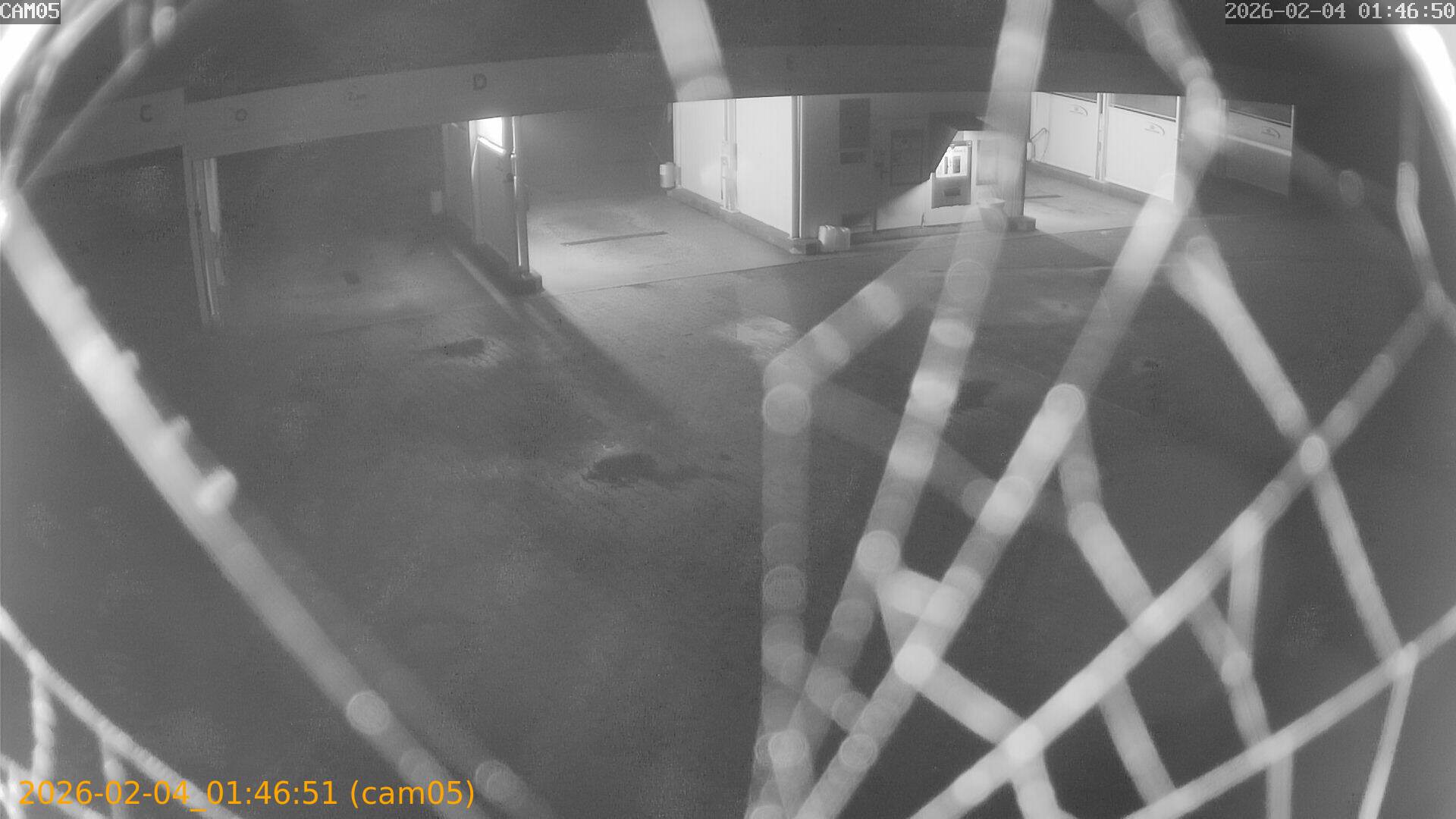 thumbnail_20260204014651