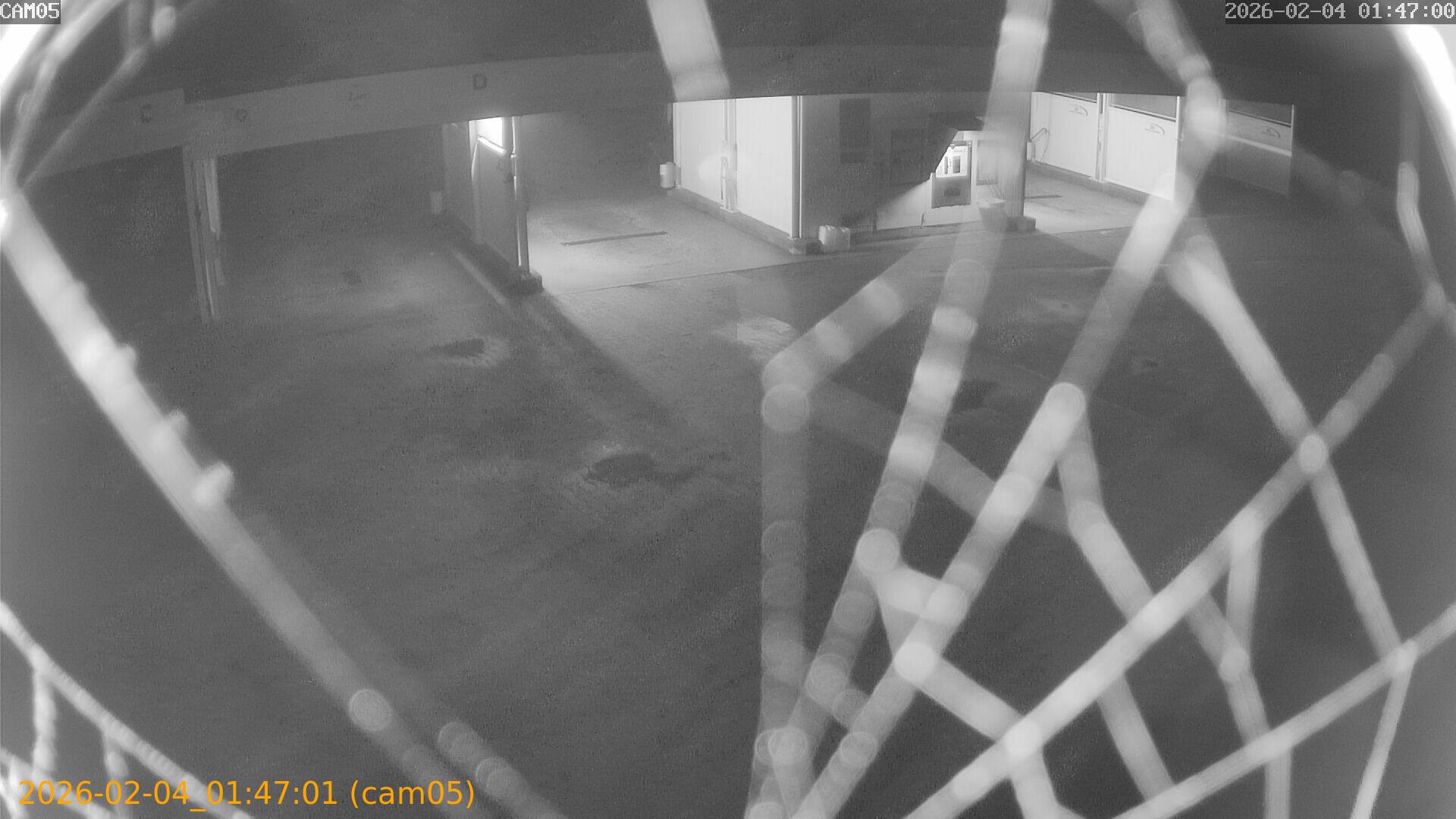 thumbnail_20260204014701