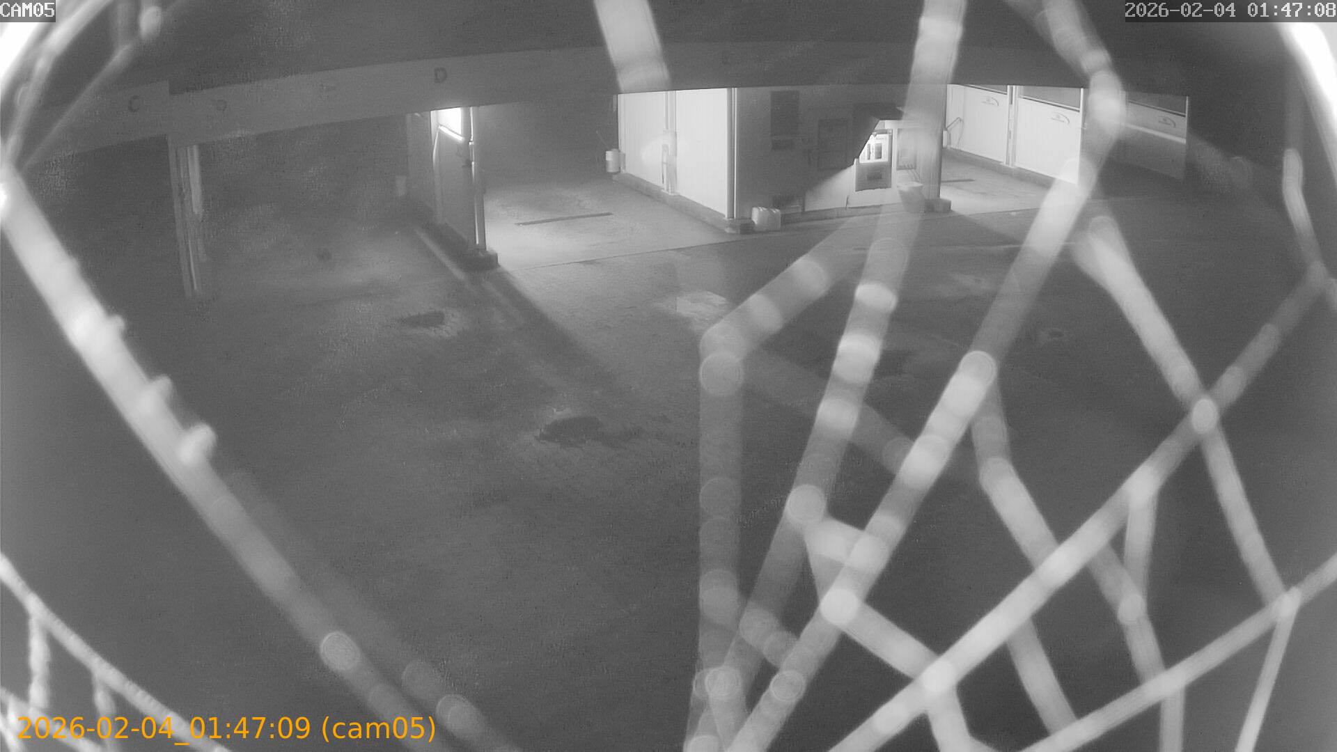 thumbnail_20260204014709