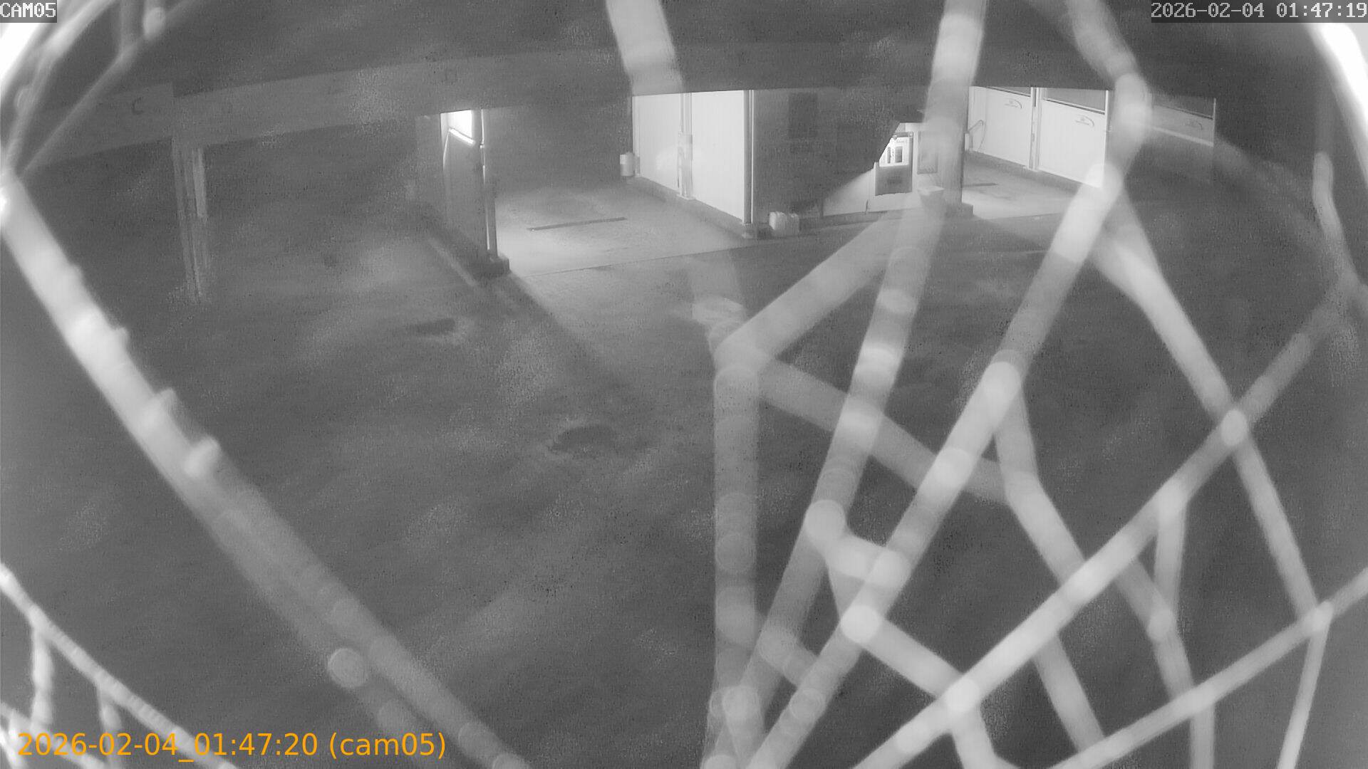 thumbnail_20260204014720