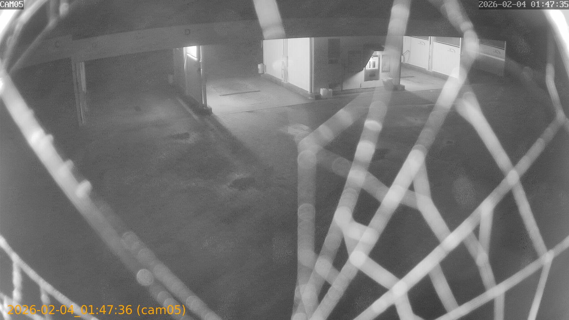 thumbnail_20260204014736