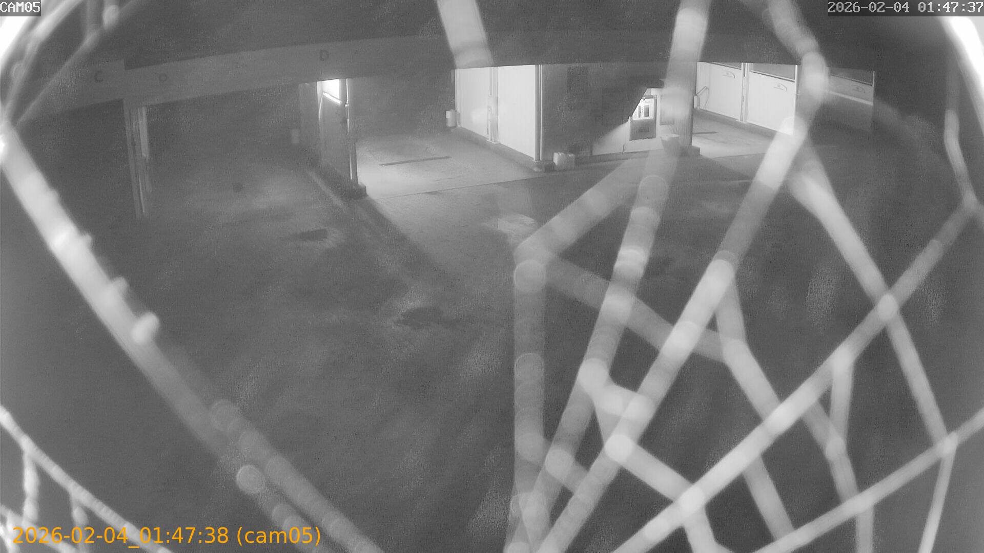 thumbnail_20260204014738