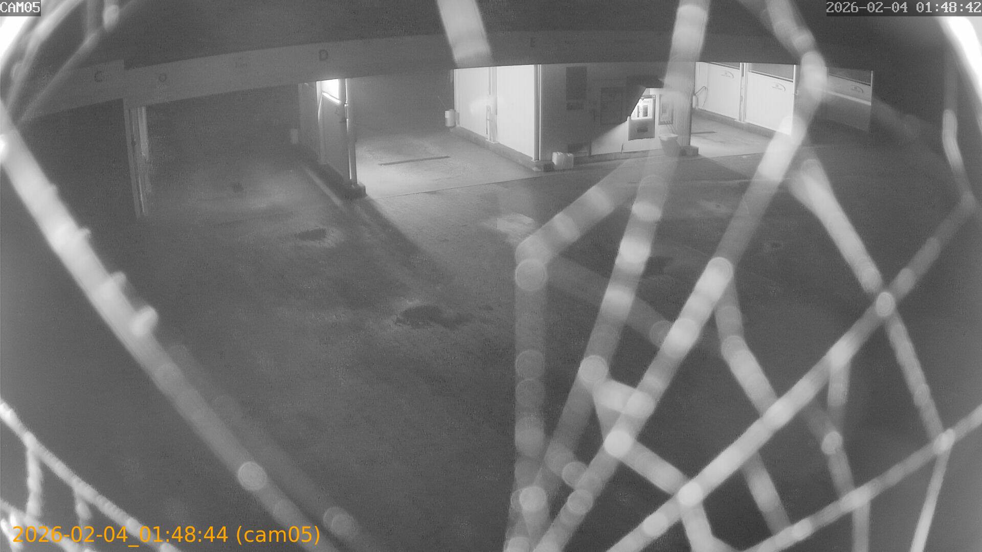 thumbnail_20260204014844