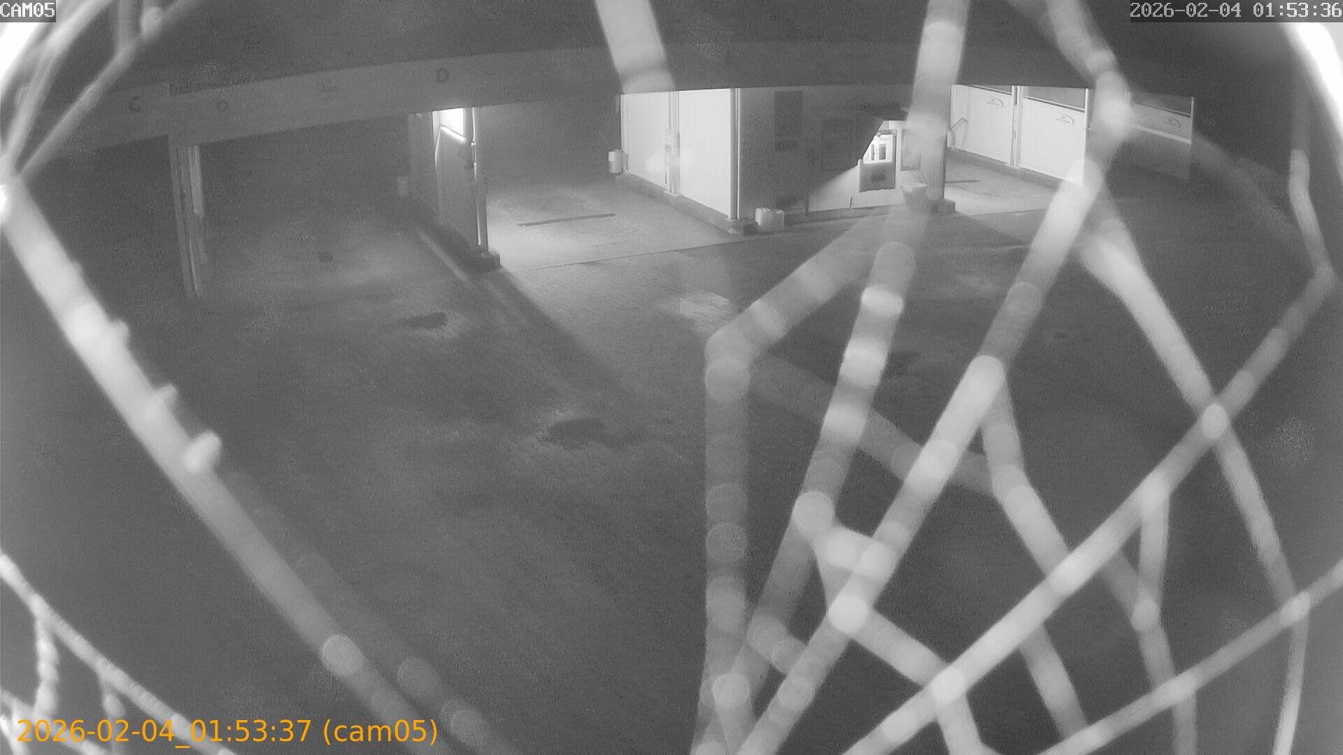 thumbnail_20260204015337