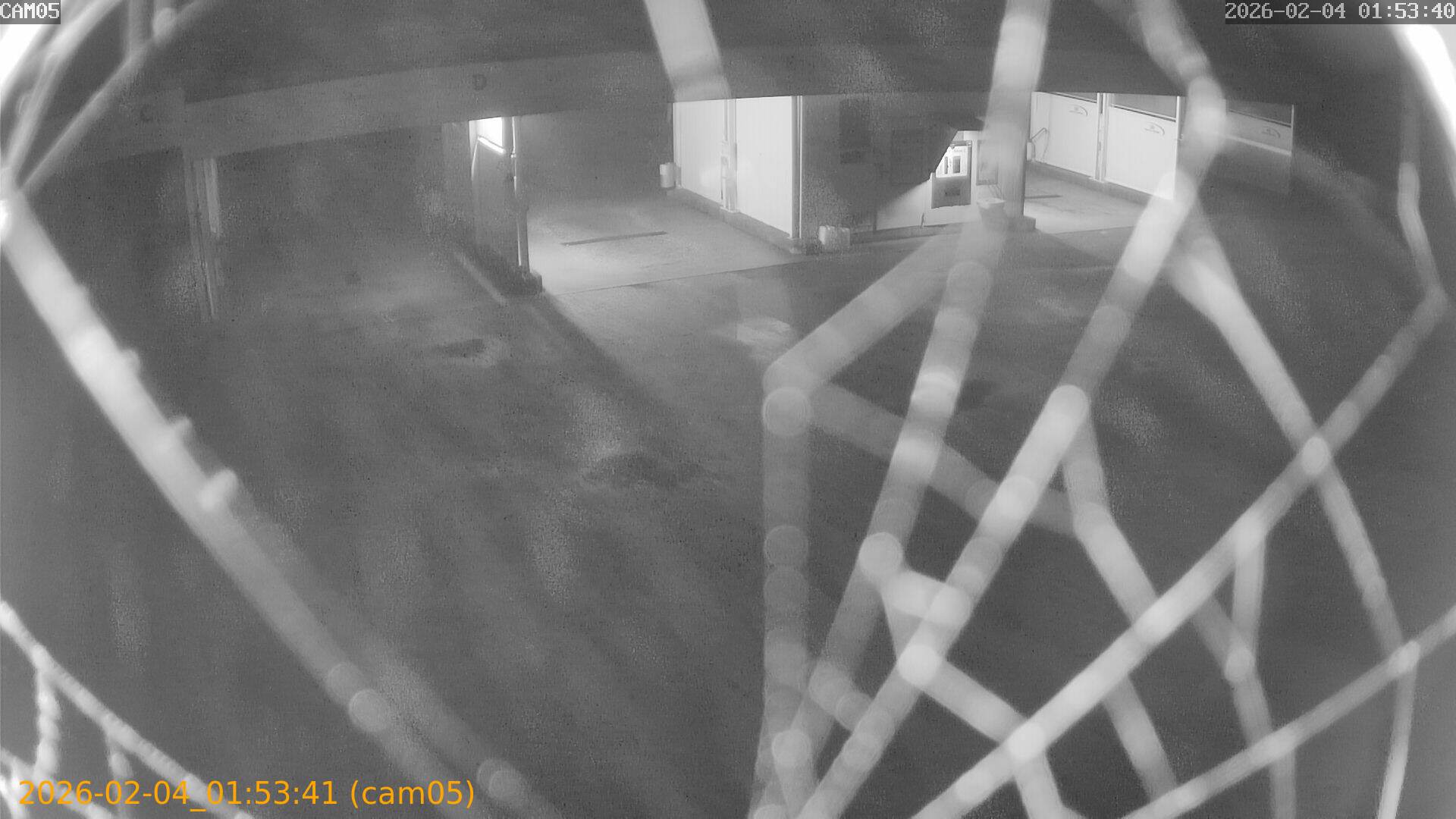 thumbnail_20260204015341