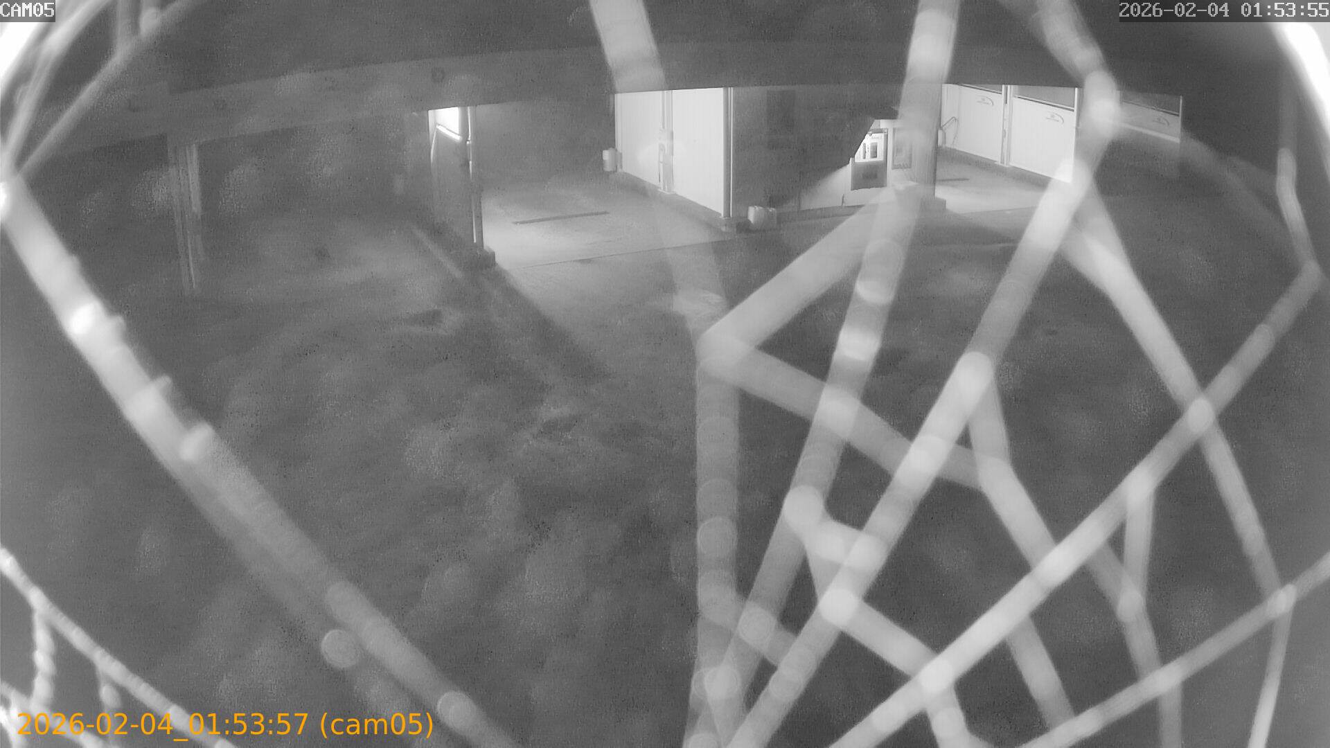 thumbnail_20260204015357