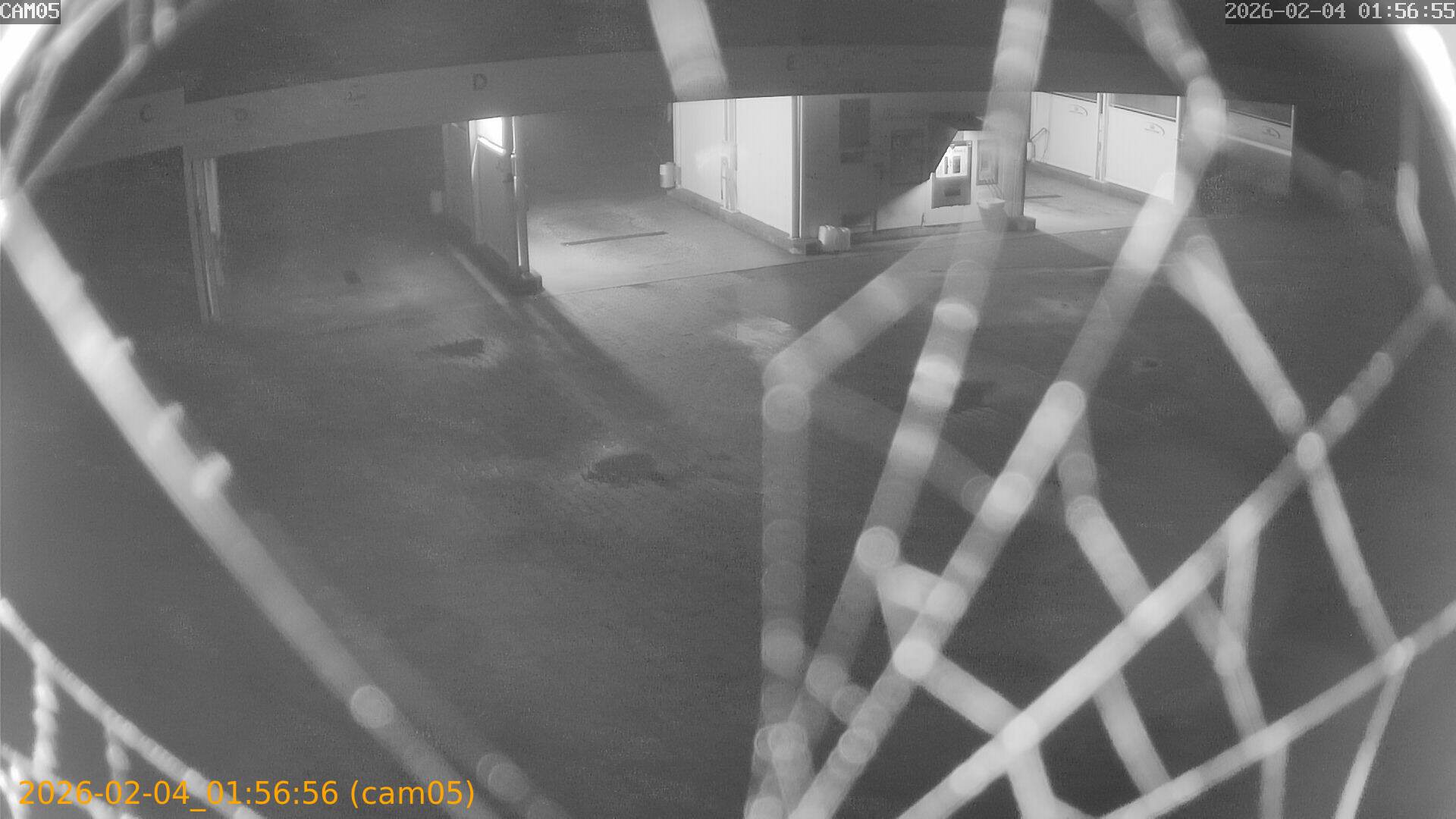 thumbnail_20260204015656