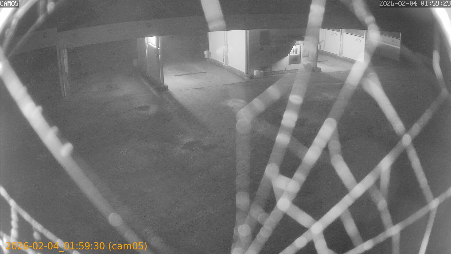 thumbnail_20260204015930