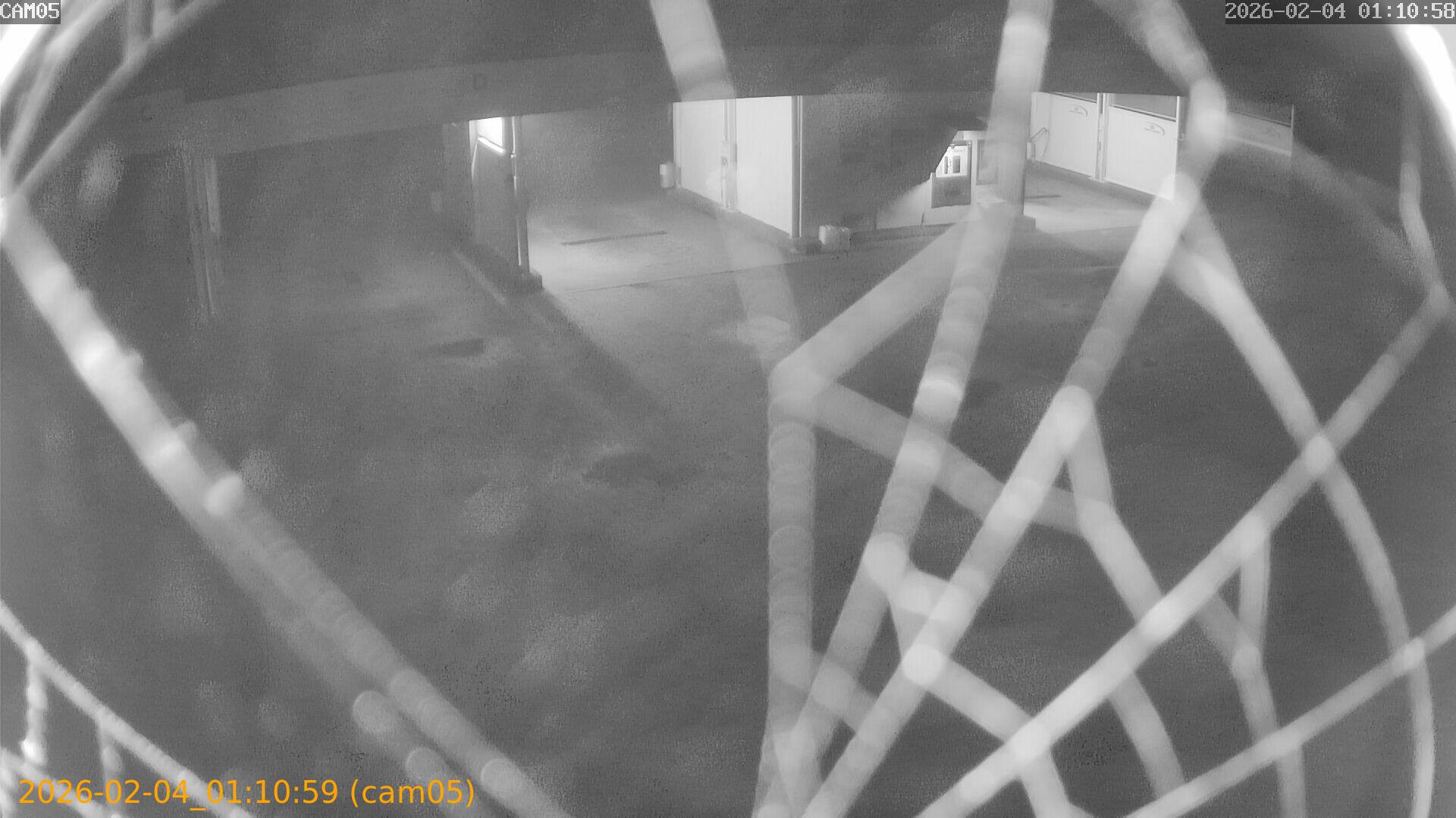 thumbnail_202602040110