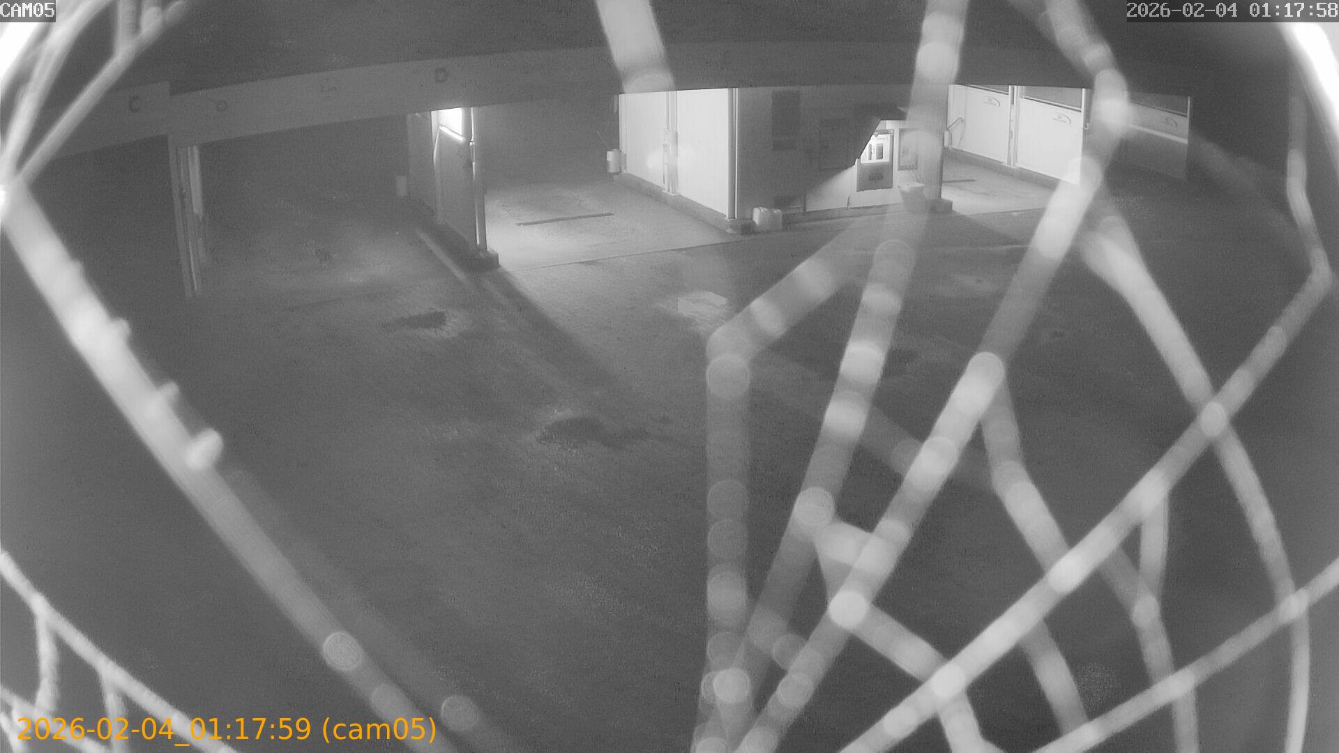 thumbnail_202602040117