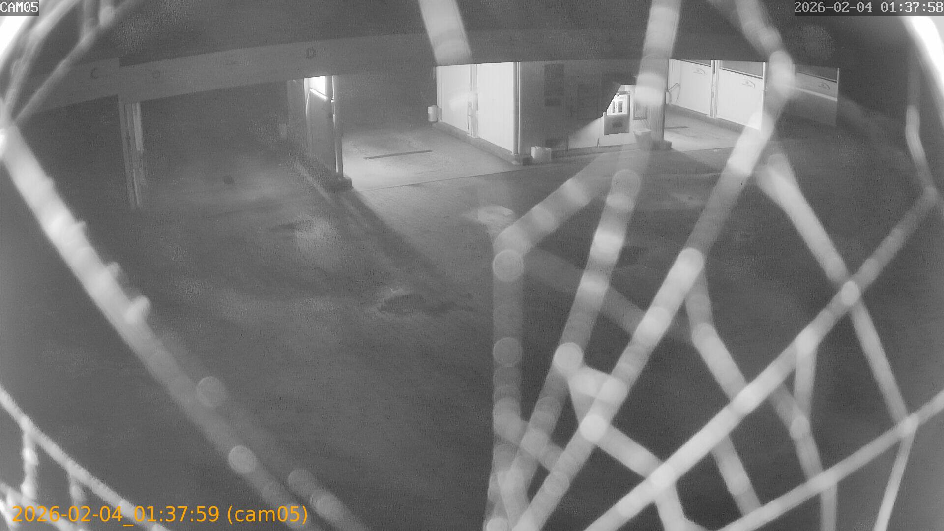 thumbnail_202602040137