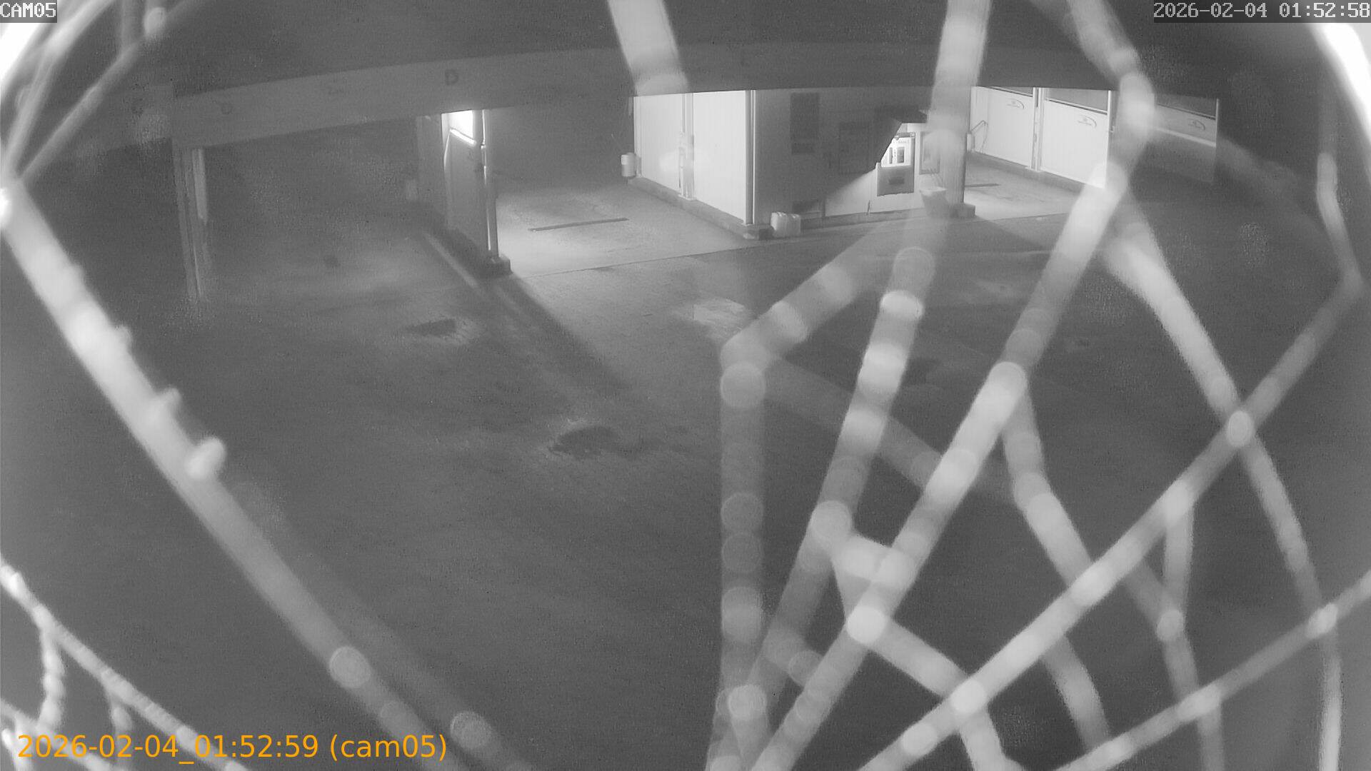 thumbnail_202602040152