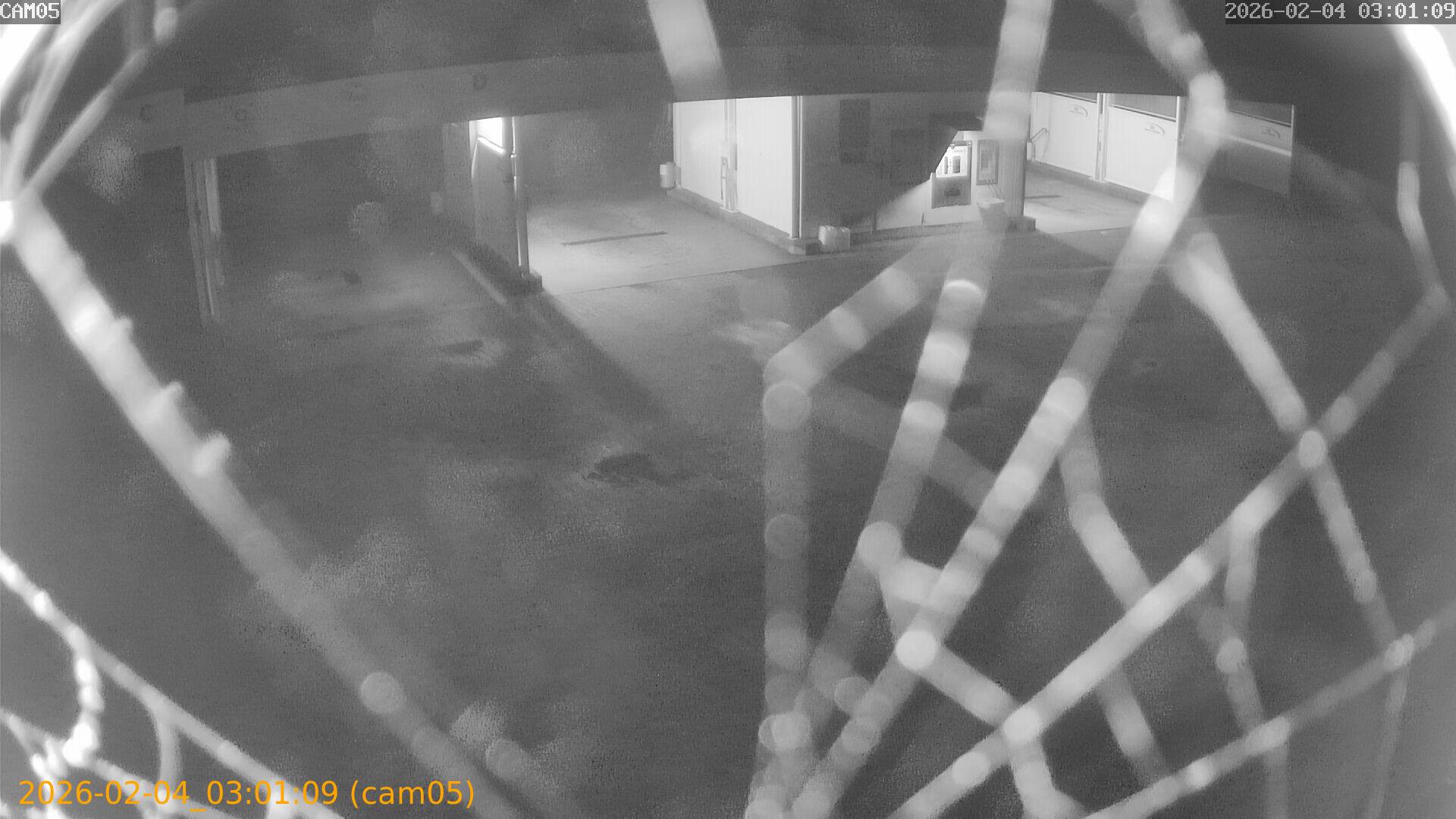 thumbnail_20260204030109