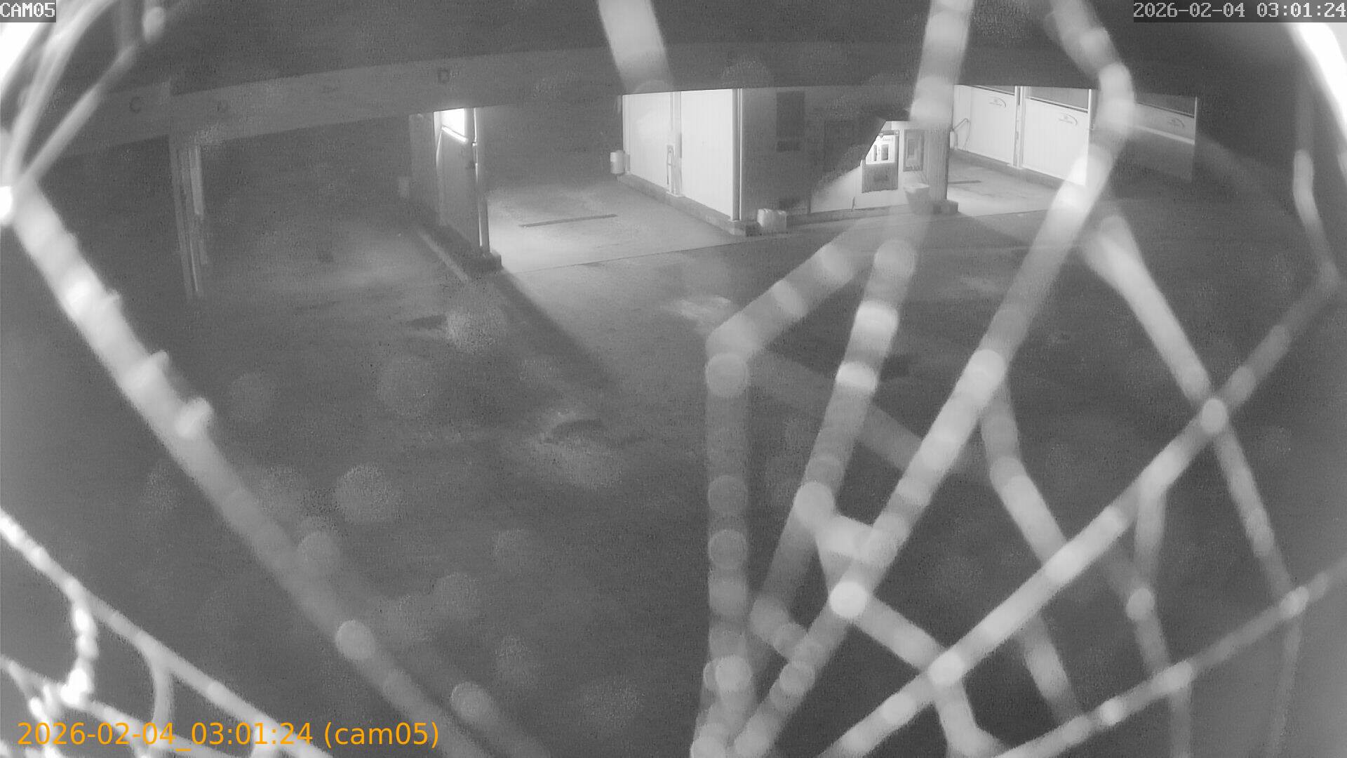 thumbnail_20260204030124