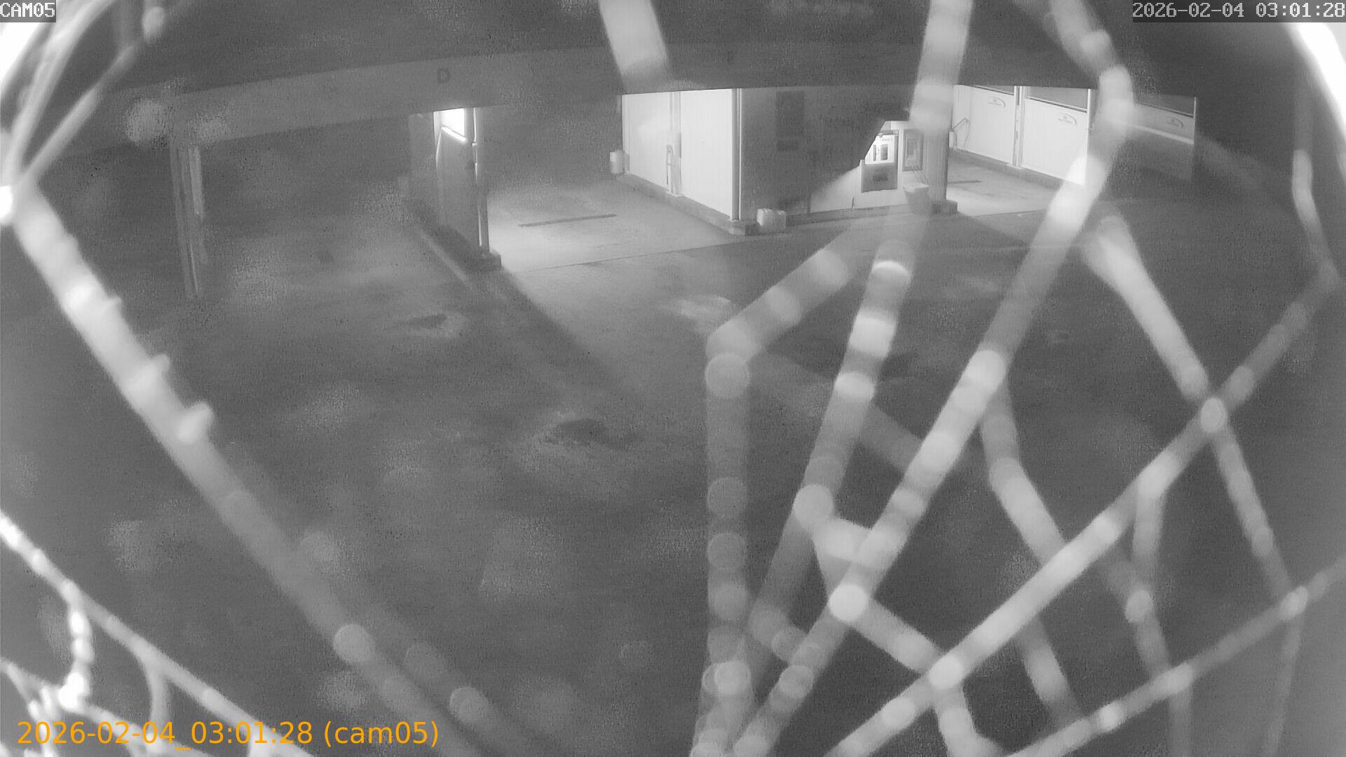 thumbnail_20260204030128