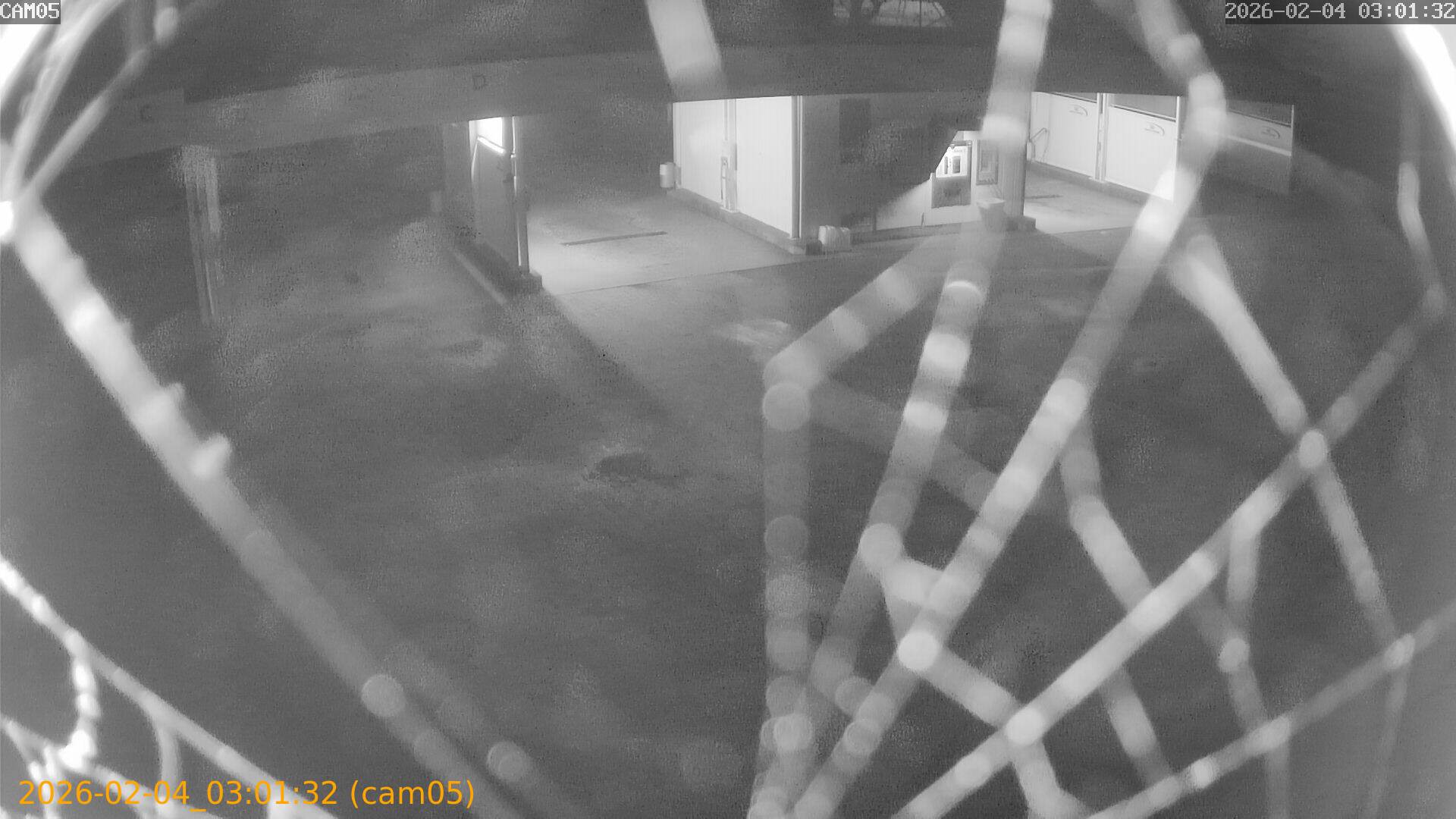 thumbnail_20260204030132